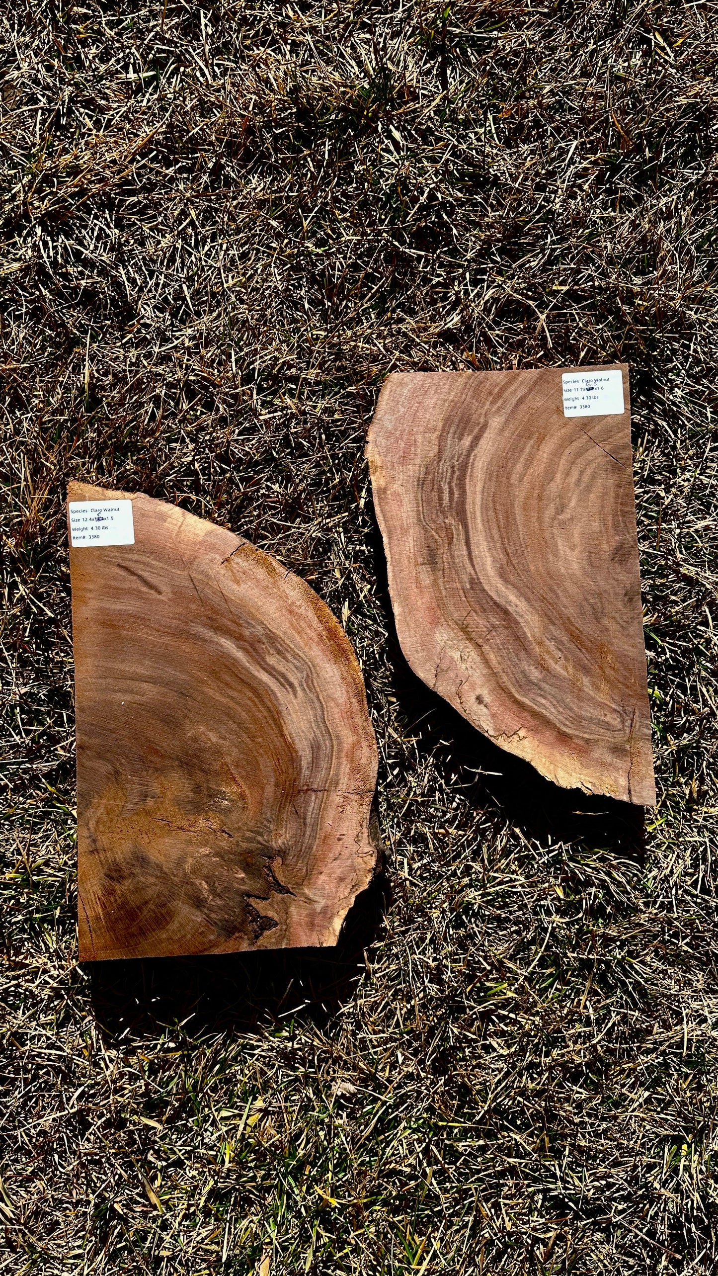 Claro Walnut Burl Set #3380
