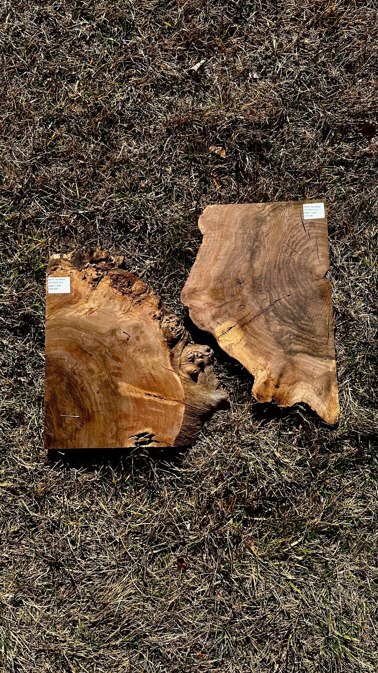 Claro Walnut Burl Set #3381