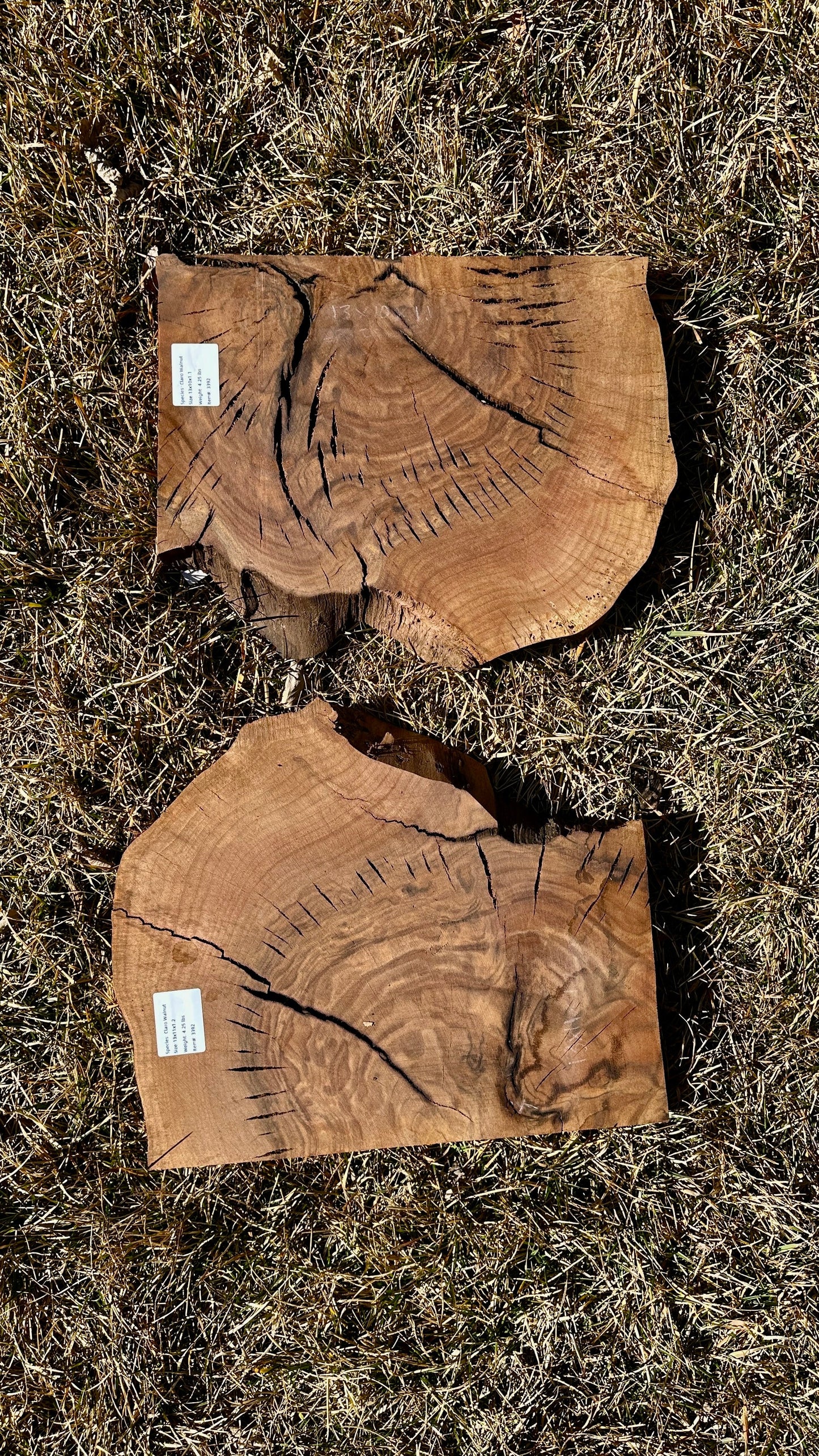 Claro Walnut Burl Set #3392