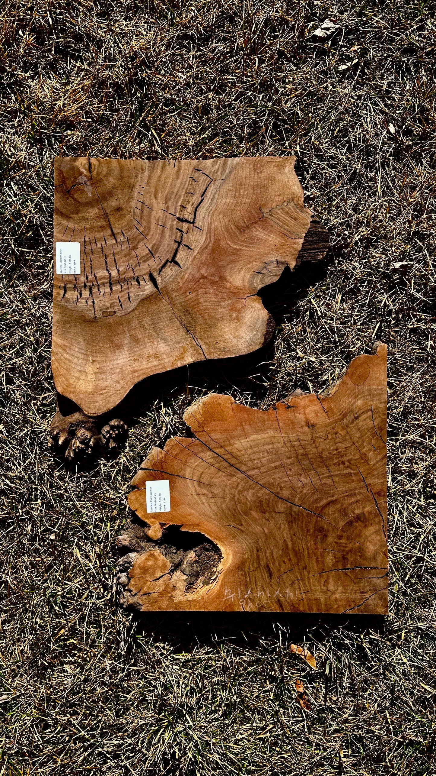 Claro Walnut Burl Set #3394