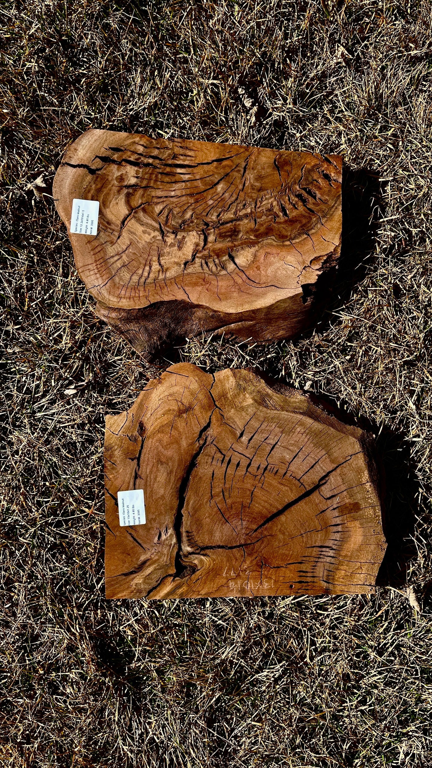Claro Walnut Burl Set #3395