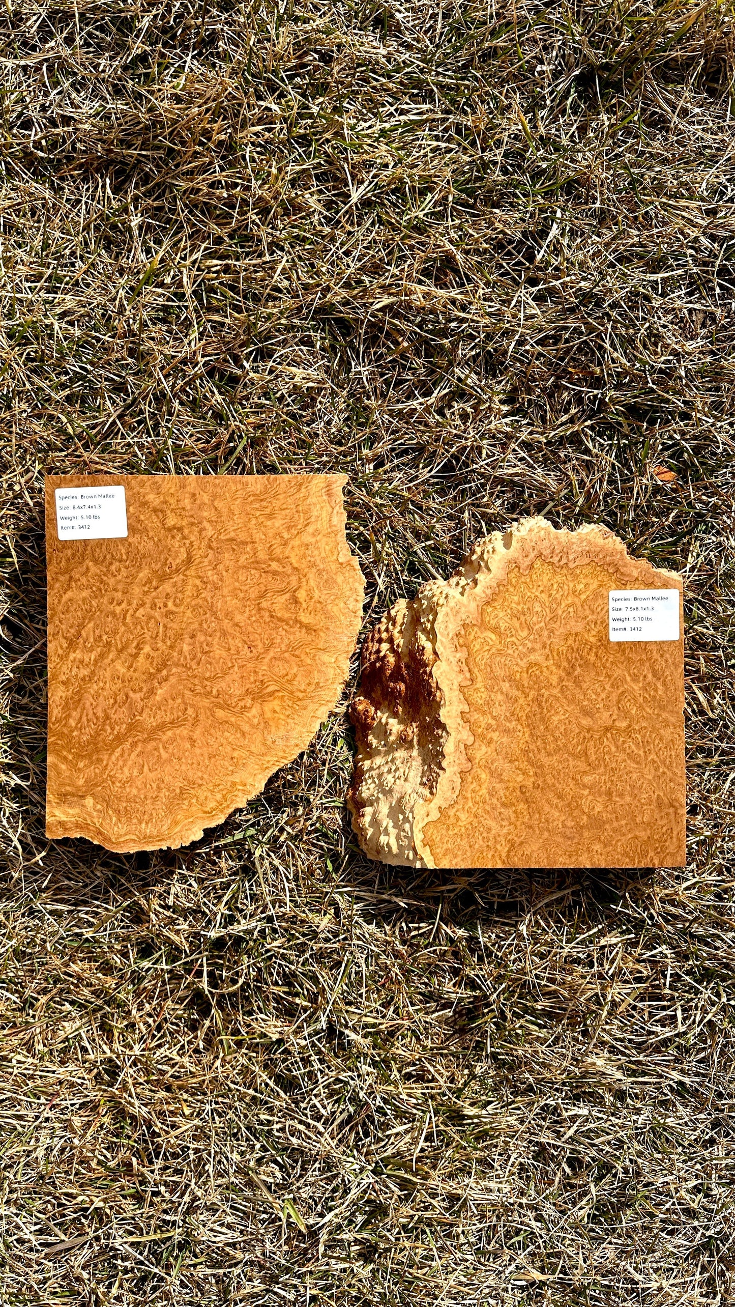 Brown Mallee Burl Set #3412