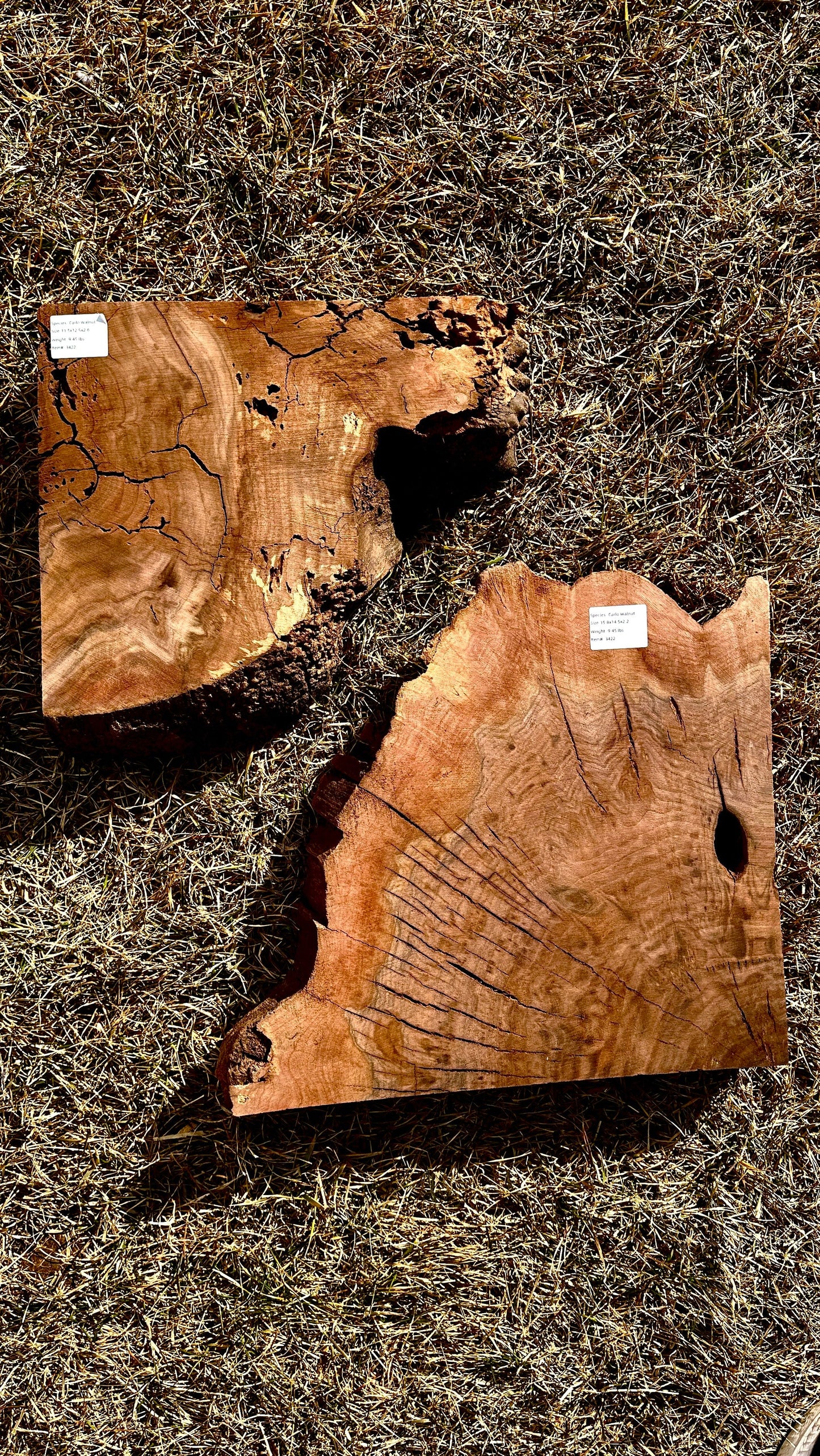 Claro Walnut Burl Set #3422