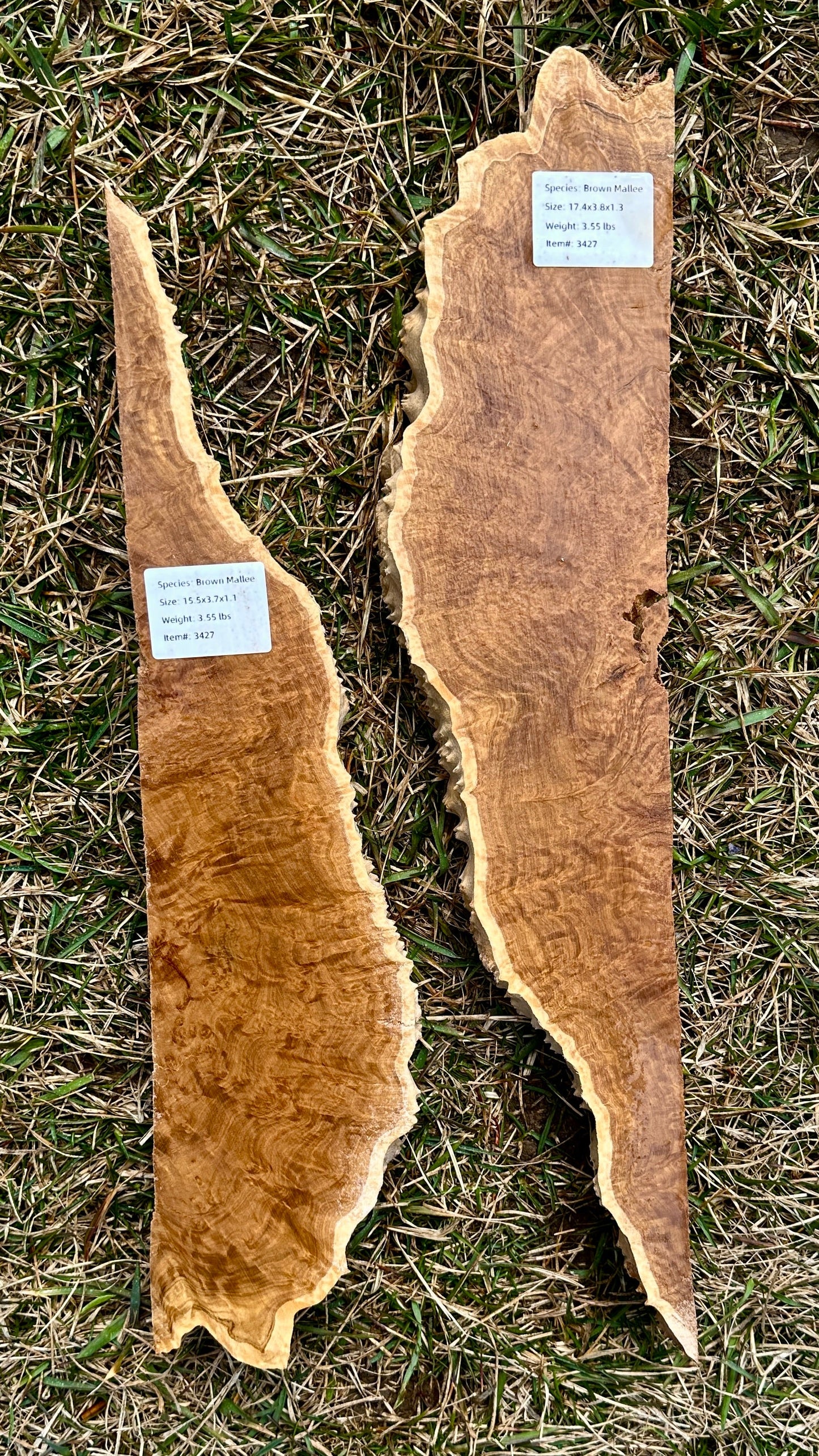 Brown Mallee Burl Set #3427