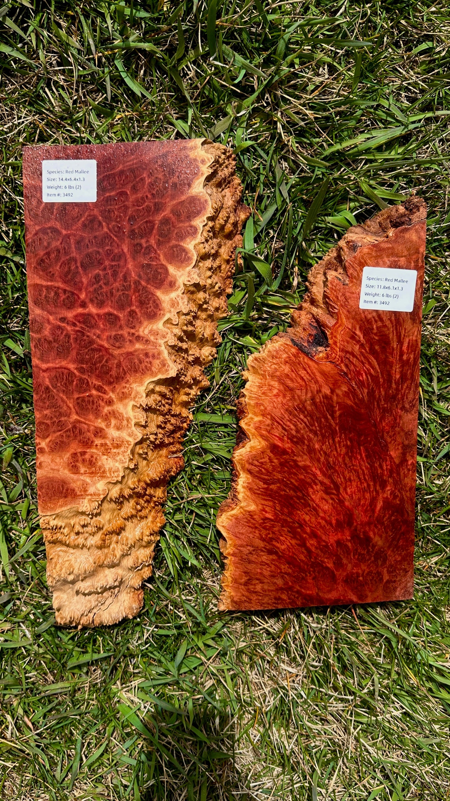 Red Mallee Burl Set #3492