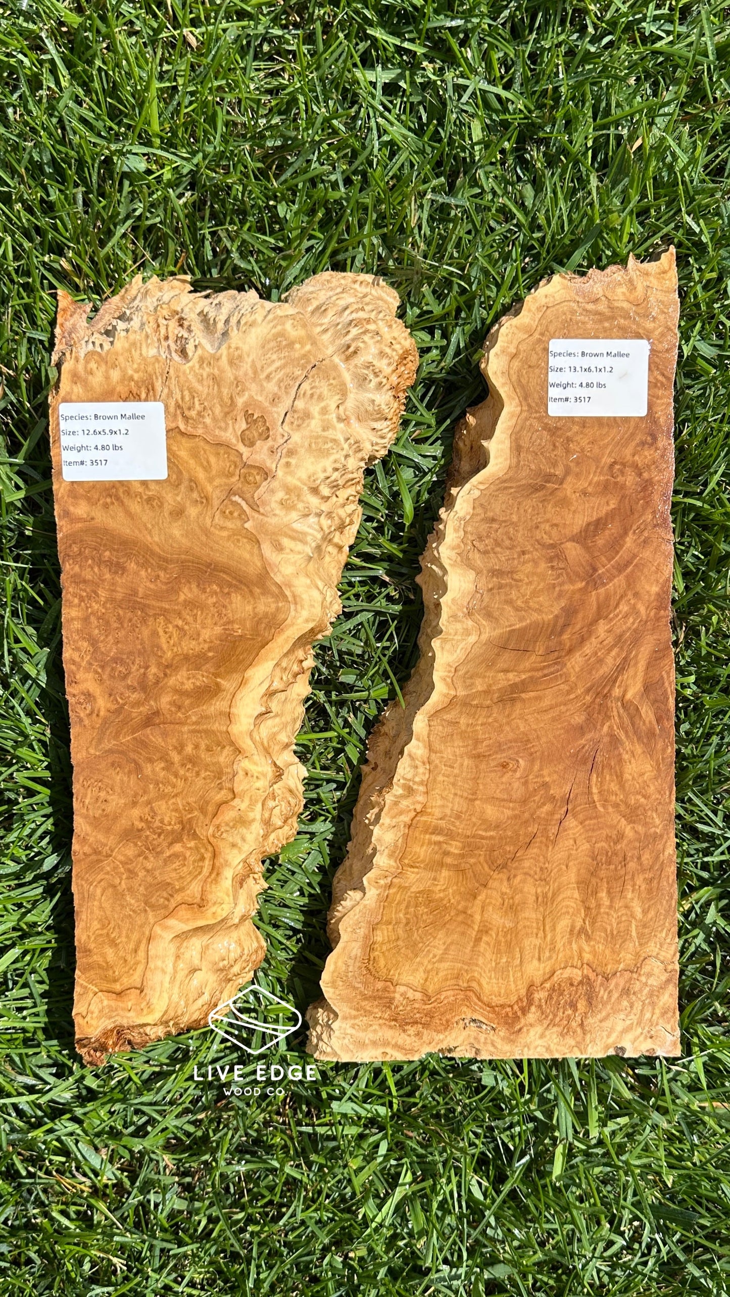 Brown Mallee Burl Set #3517