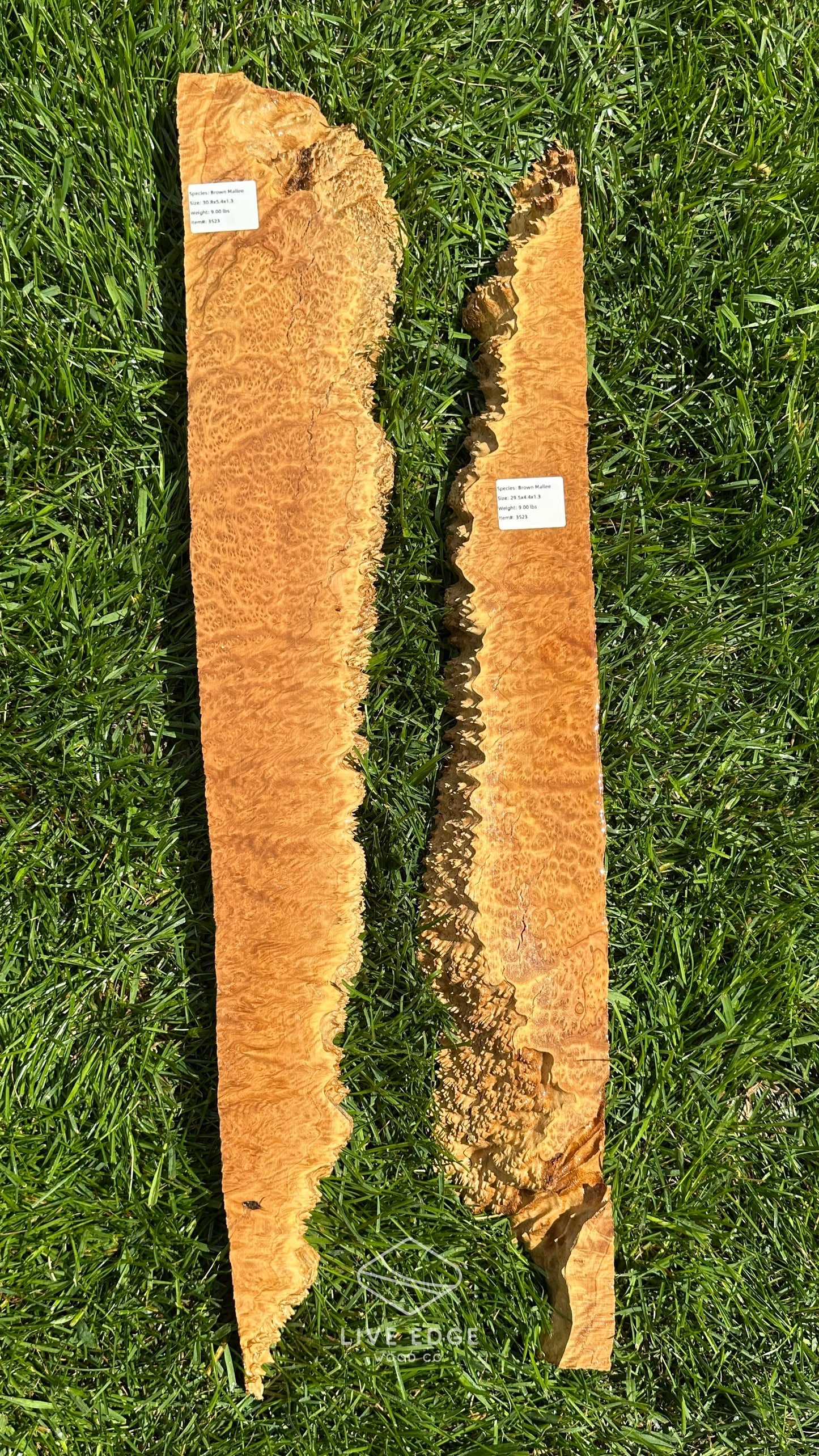 Brown Mallee Burl Set #3523