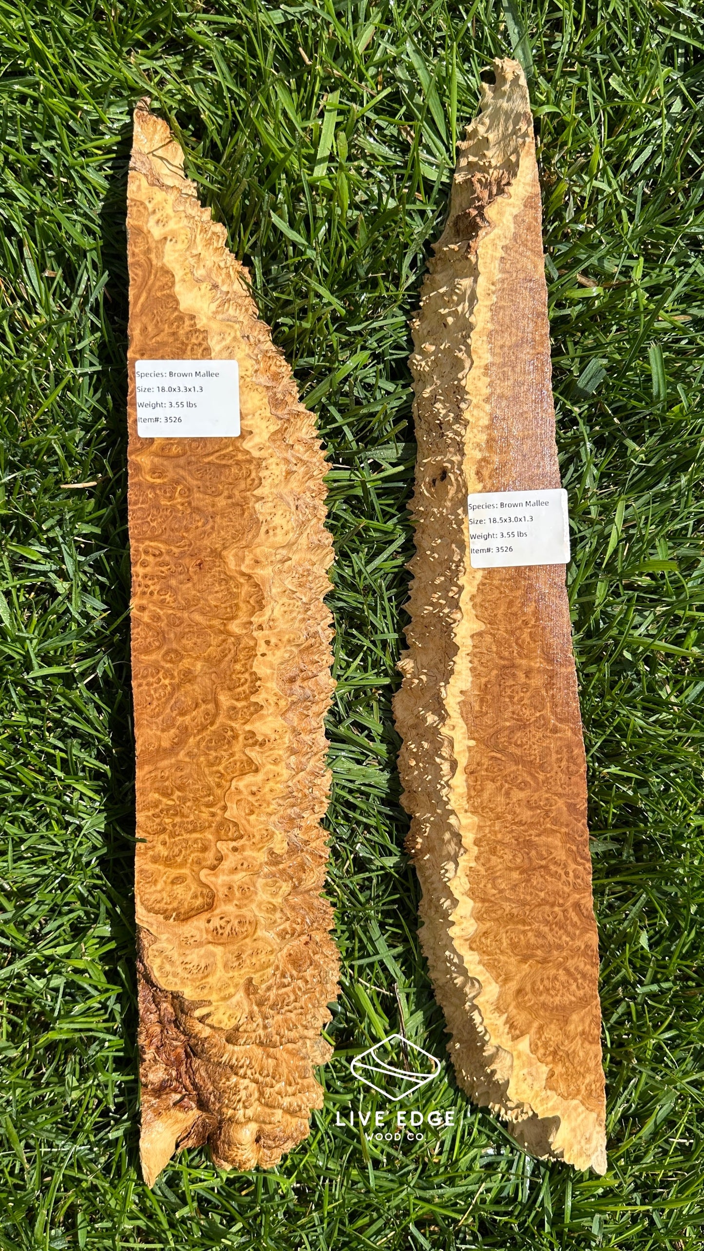 Brown Mallee Burl Set #3526