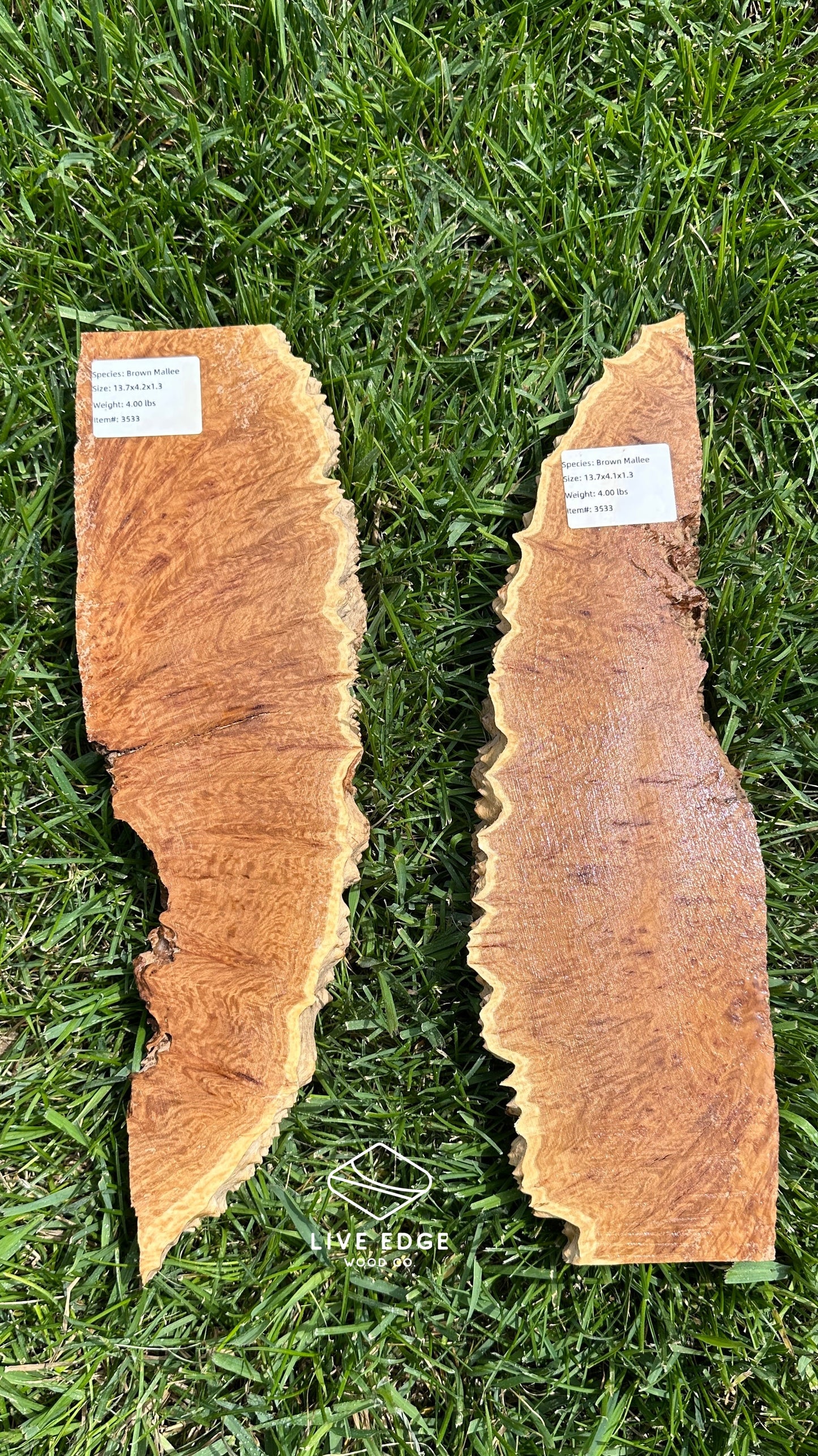 Brown Mallee Burl Set #3533