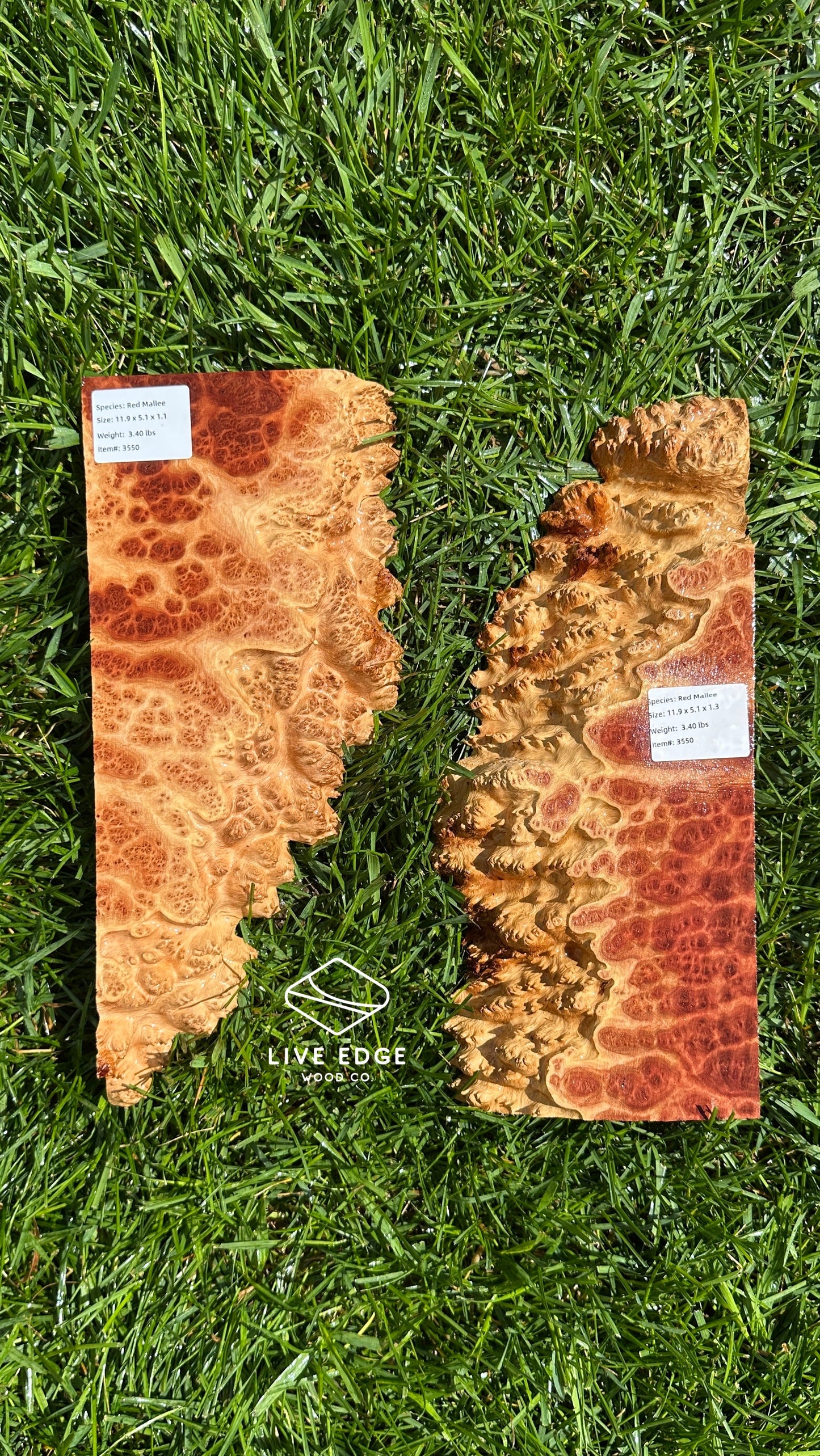 Red Mallee Burl Set #3550