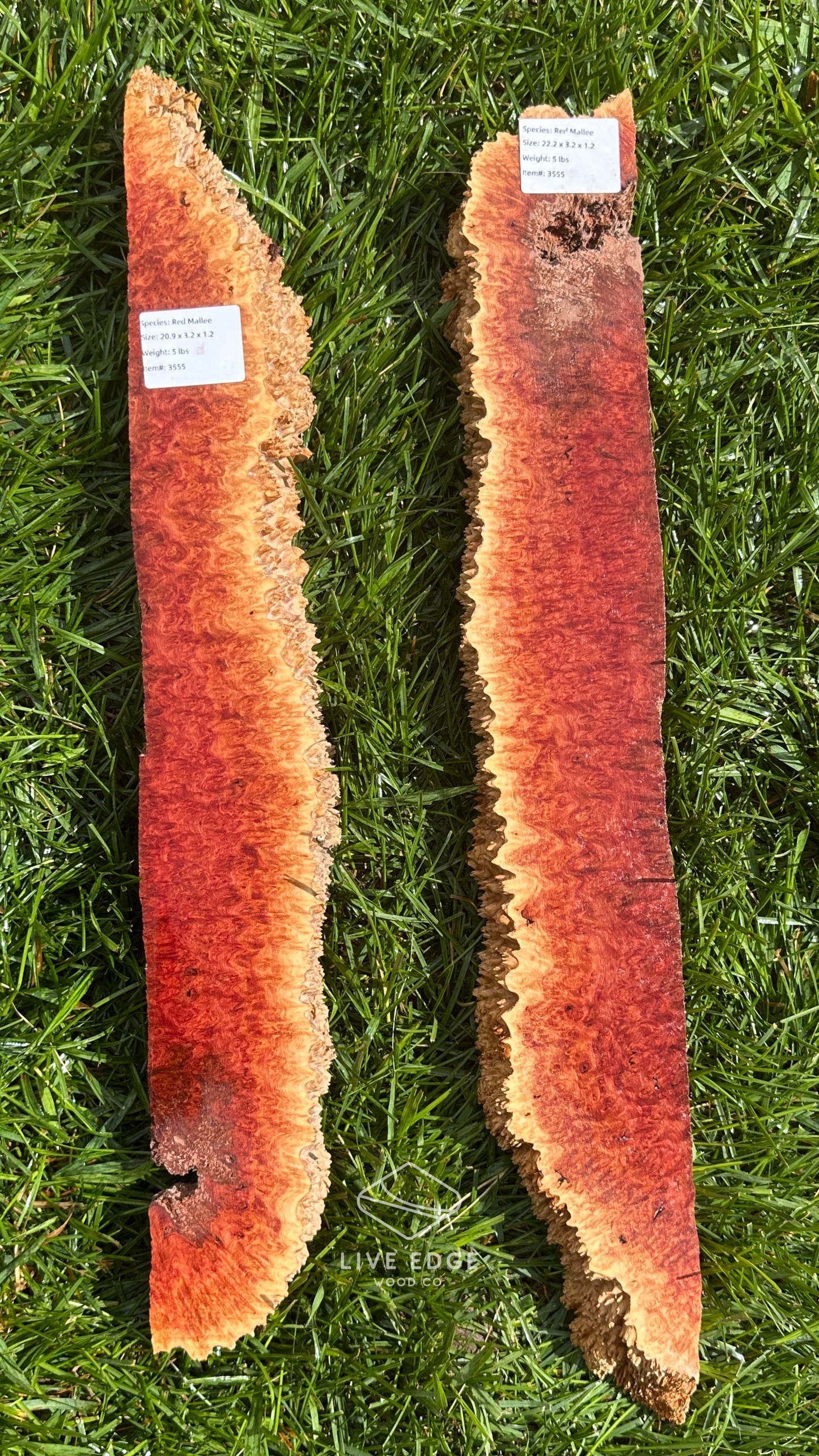 Red Mallee Burl Set #3555