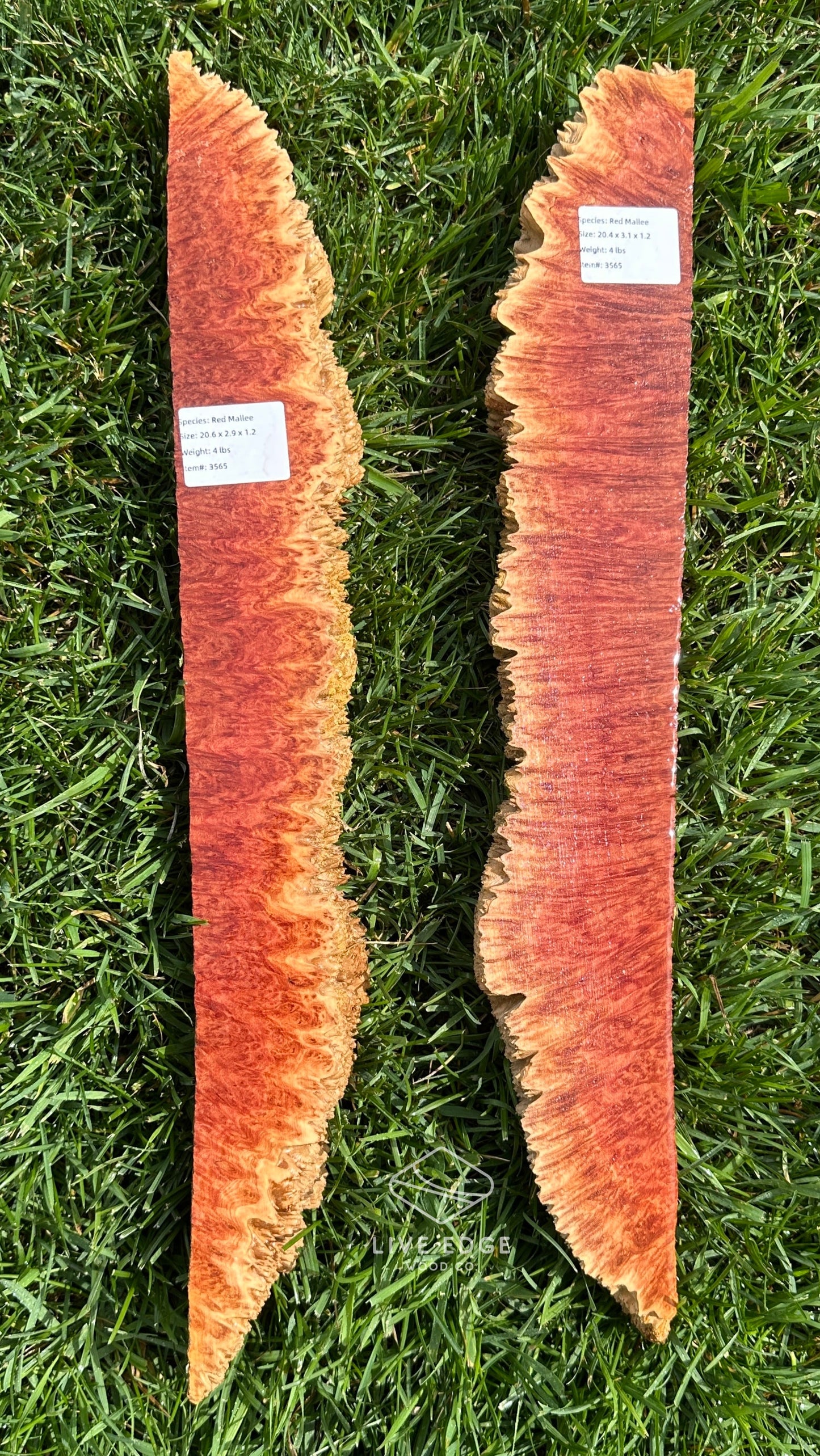 Red Mallee Burl Set #3565