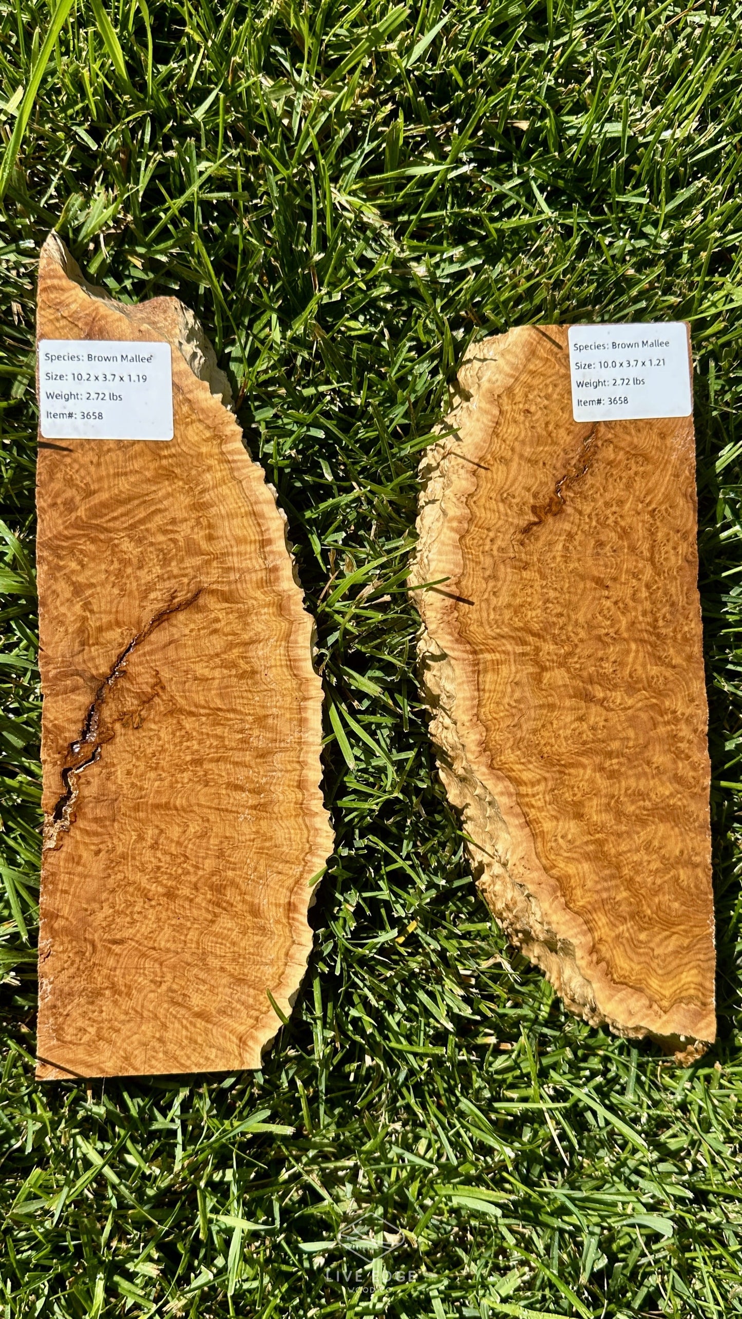 Brown Mallee Burl Set #3658