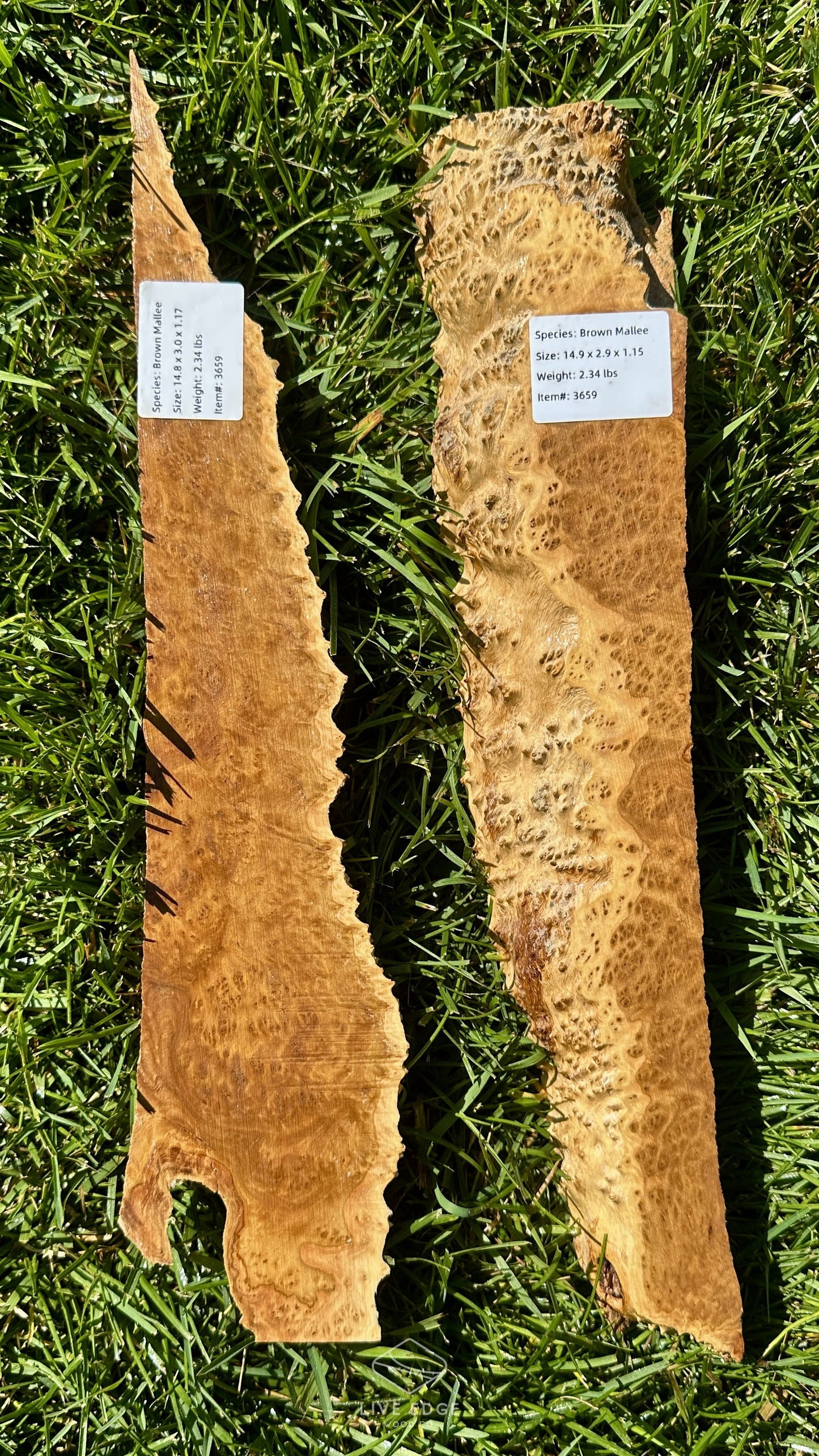 Brown Mallee Burl Set #3659