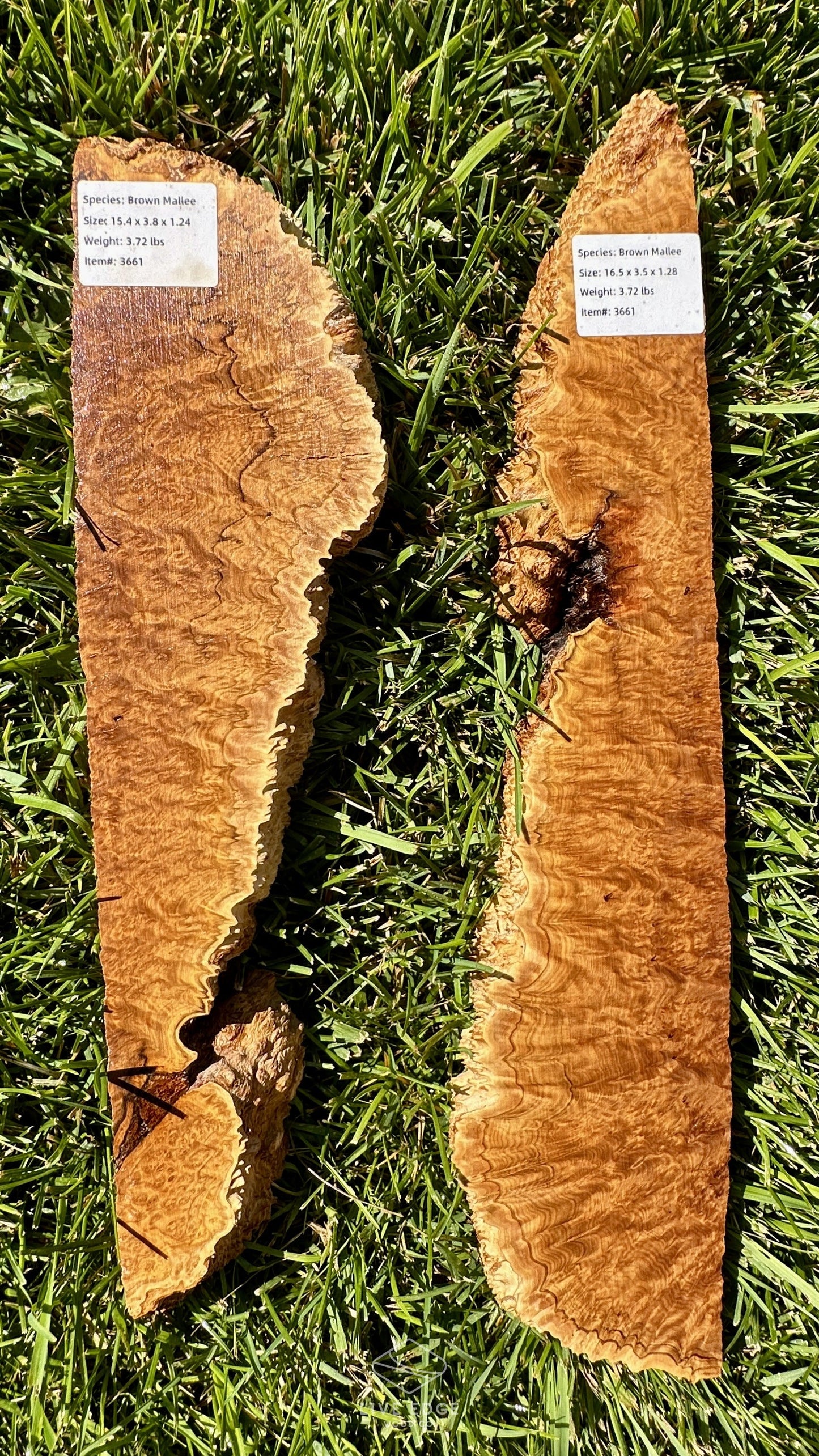 Brown Mallee Burl Set #3661