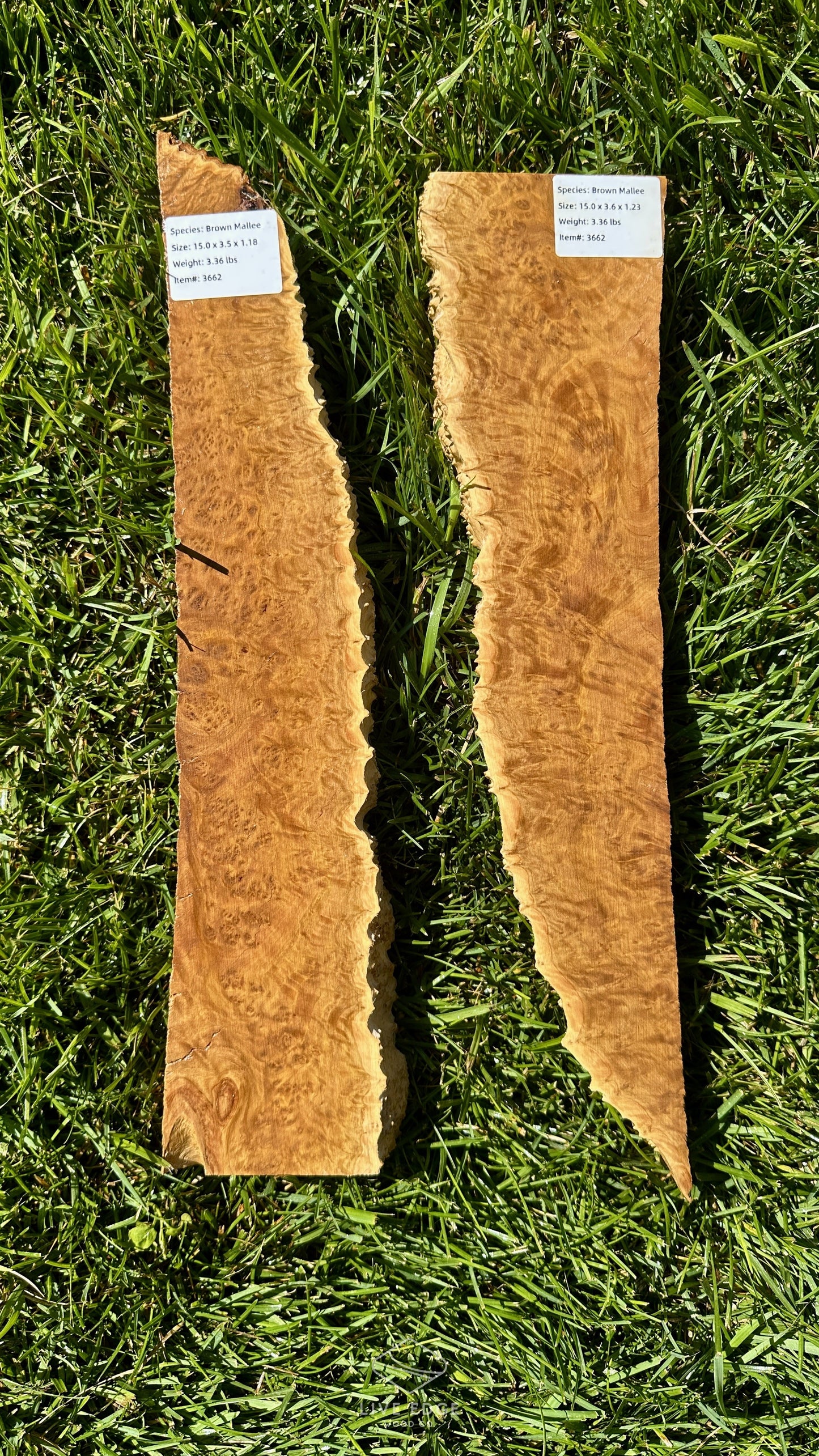 Brown Mallee Burl Set #3662