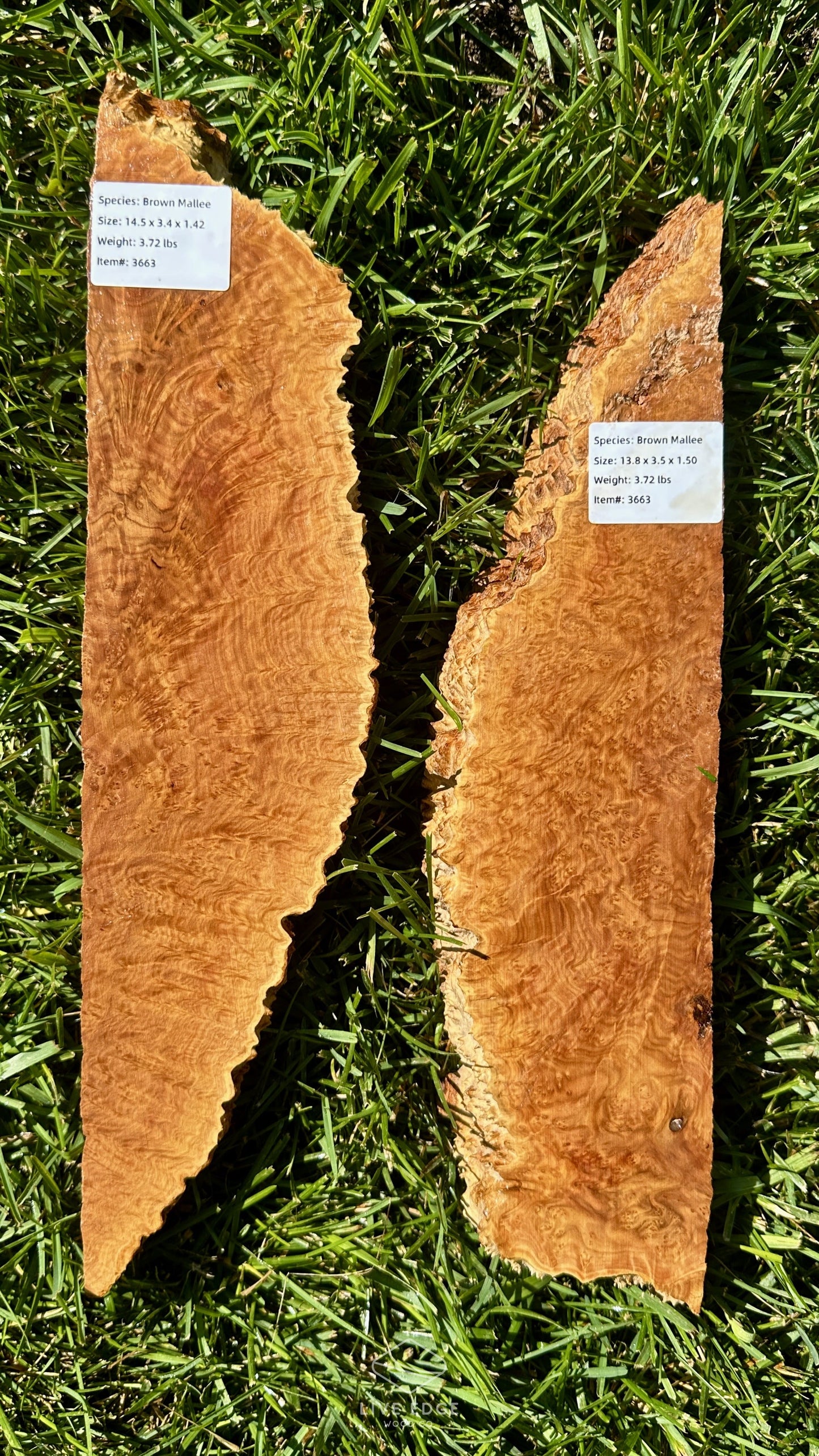 Brown Mallee Burl Set #3663