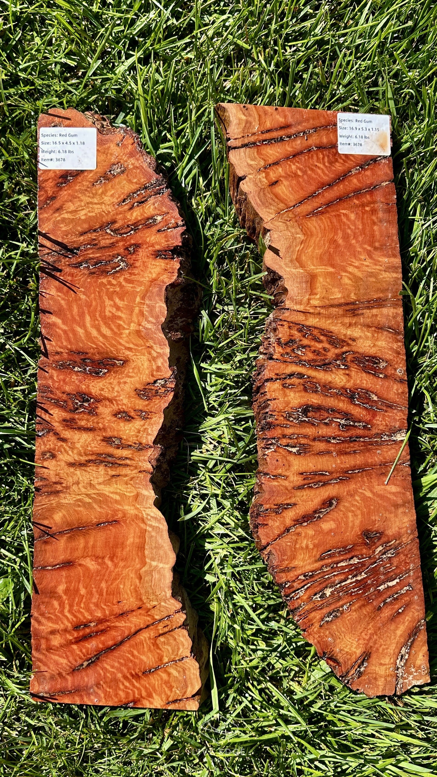 Red Gum Burl Set #3678