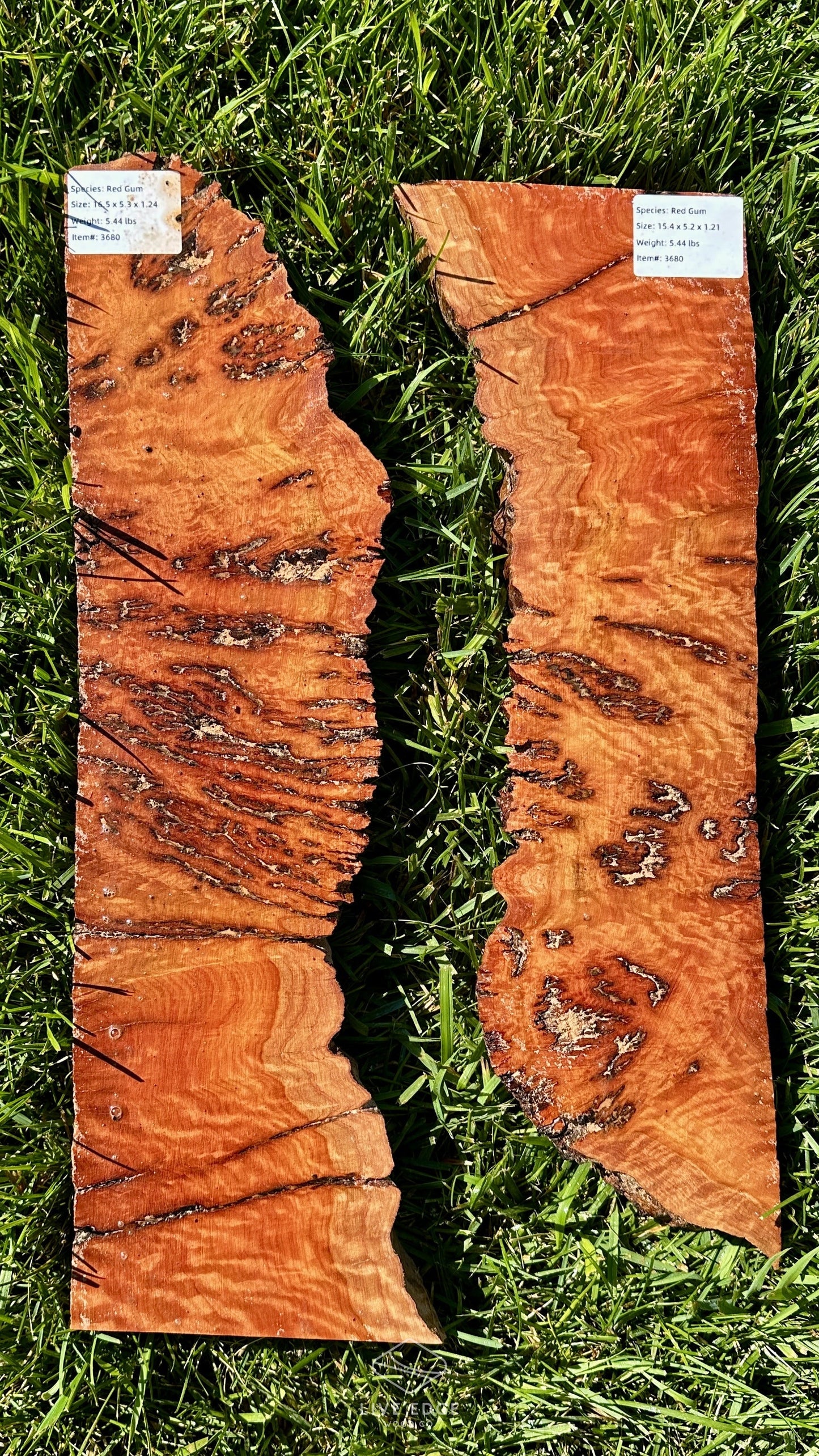 Red Gum Burl Set #3680
