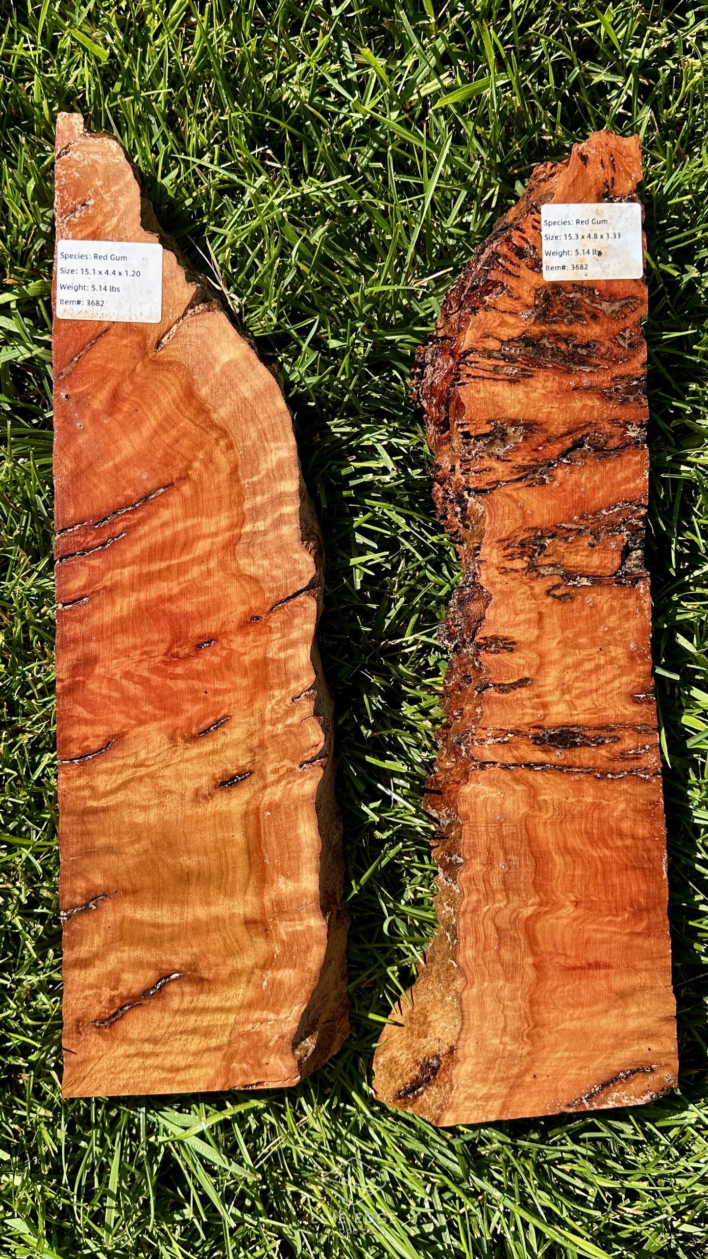 Red Gum Burl Set #3682