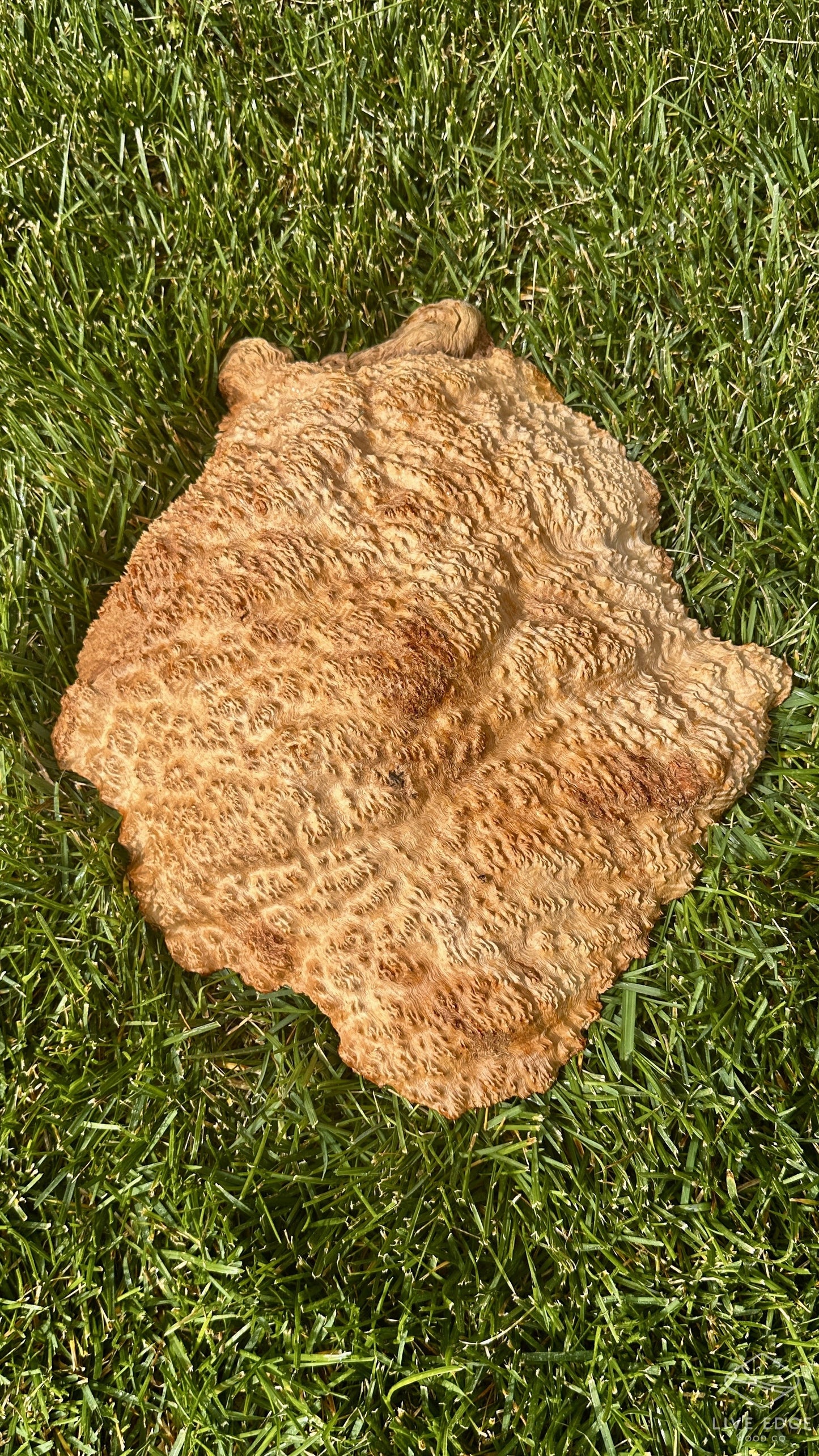 Brown Mallee Burl Cap #3698