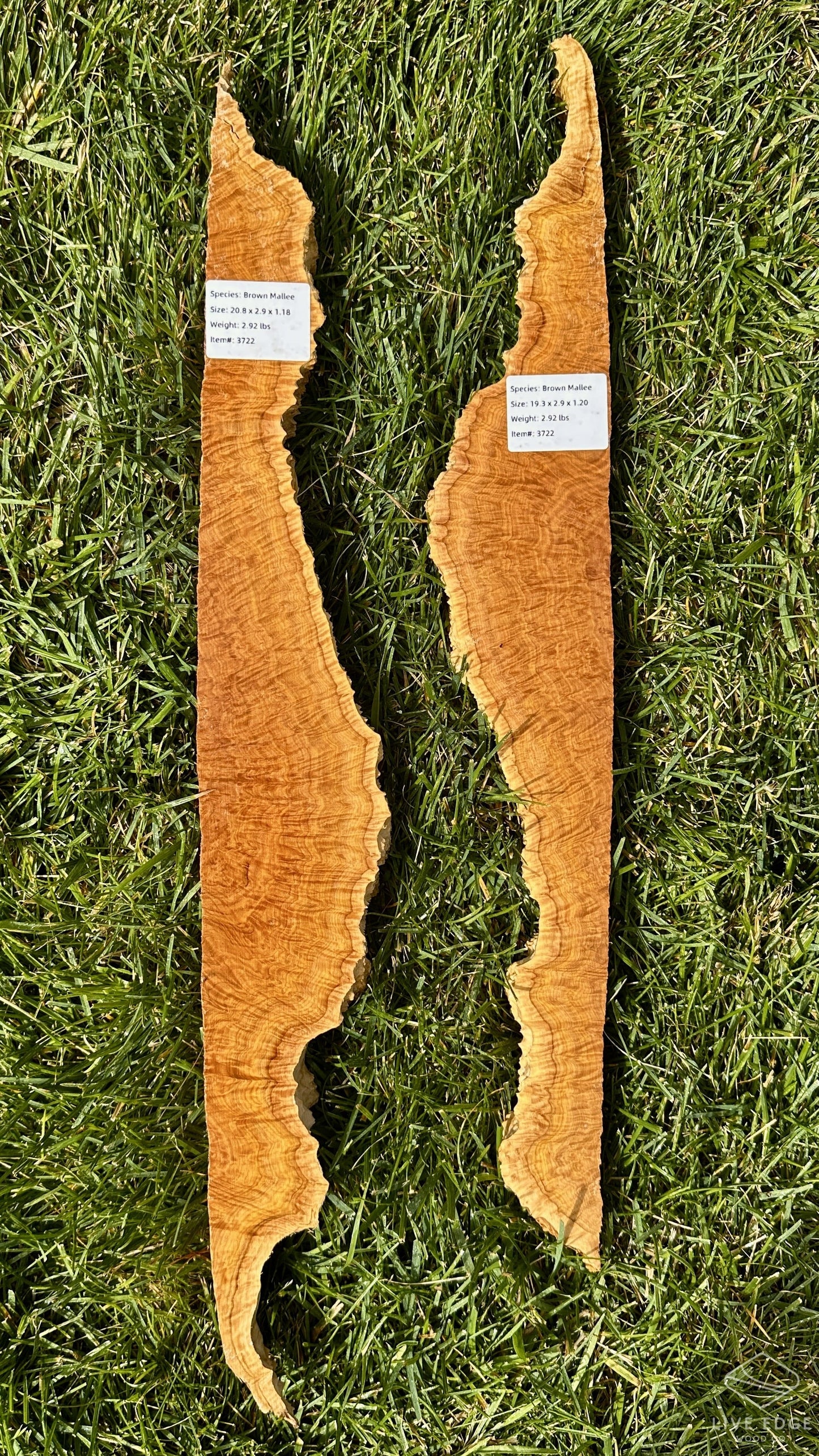 Brown Mallee Burl Set #3722