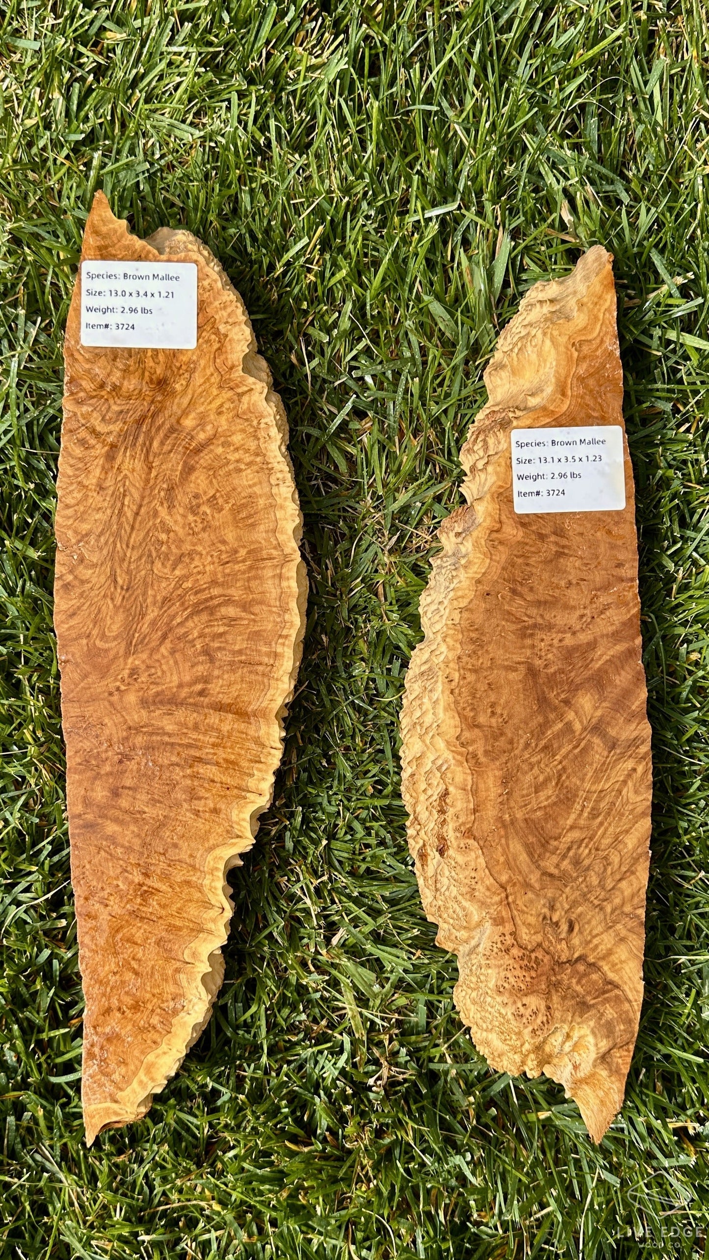 Brown Mallee Burl Set #3724