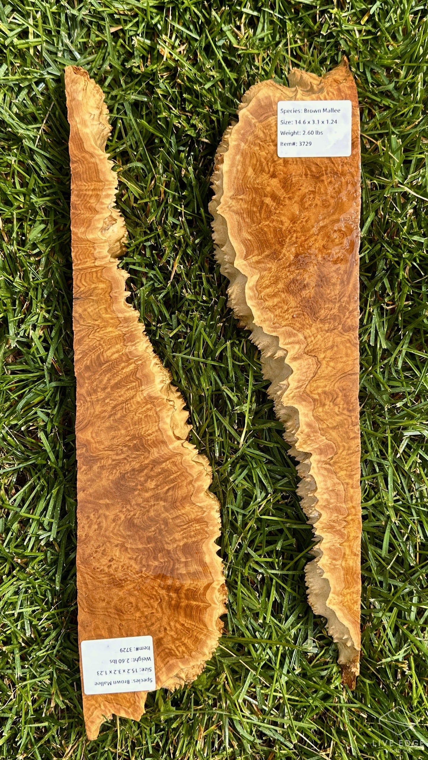 Brown Mallee Burl Set #3729