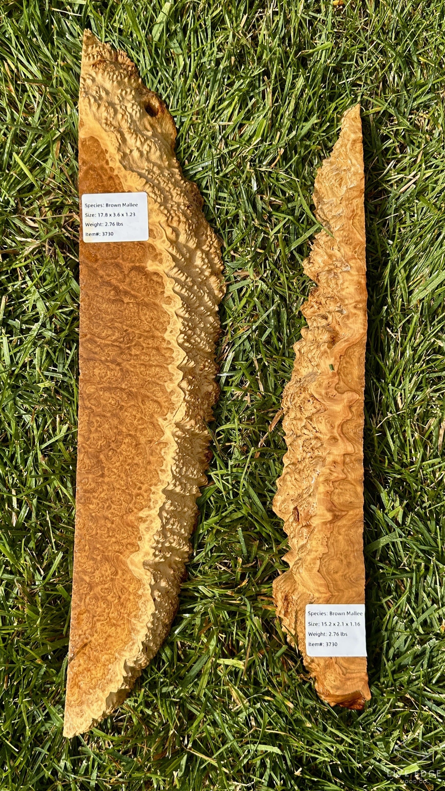 Brown Mallee Burl Set #3730