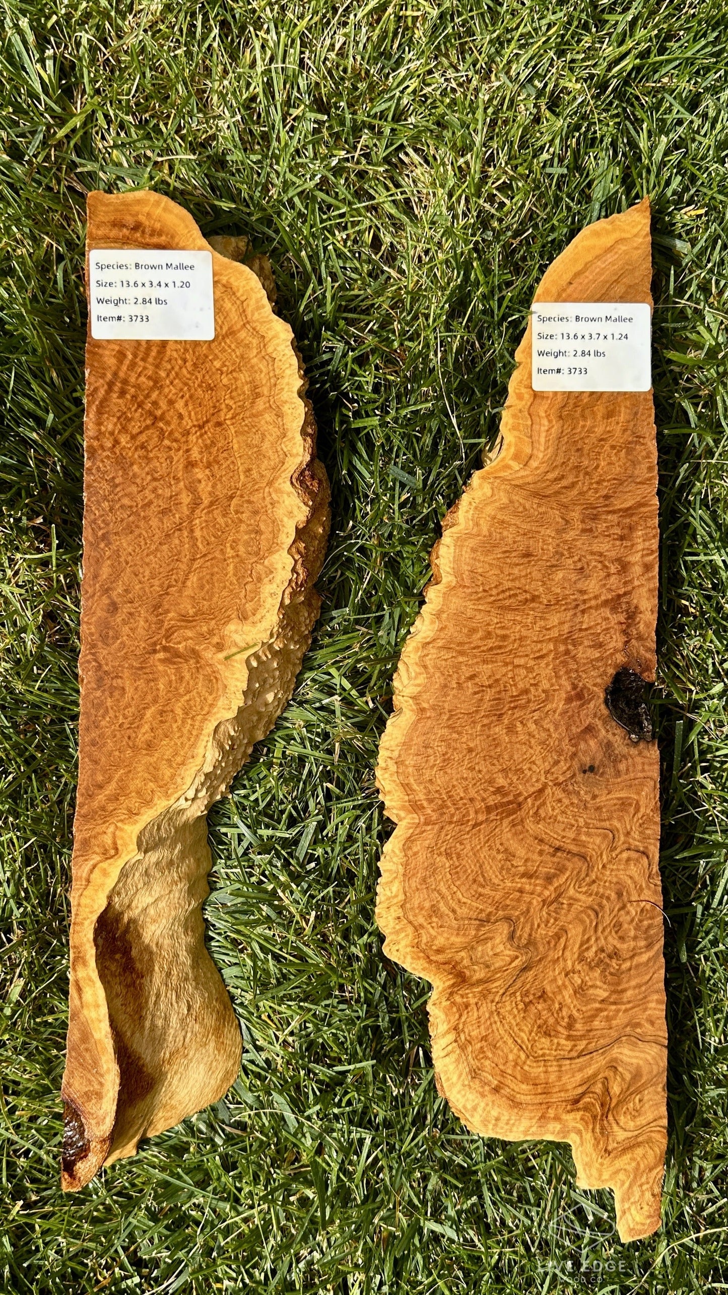 Brown Mallee Burl Set #3733