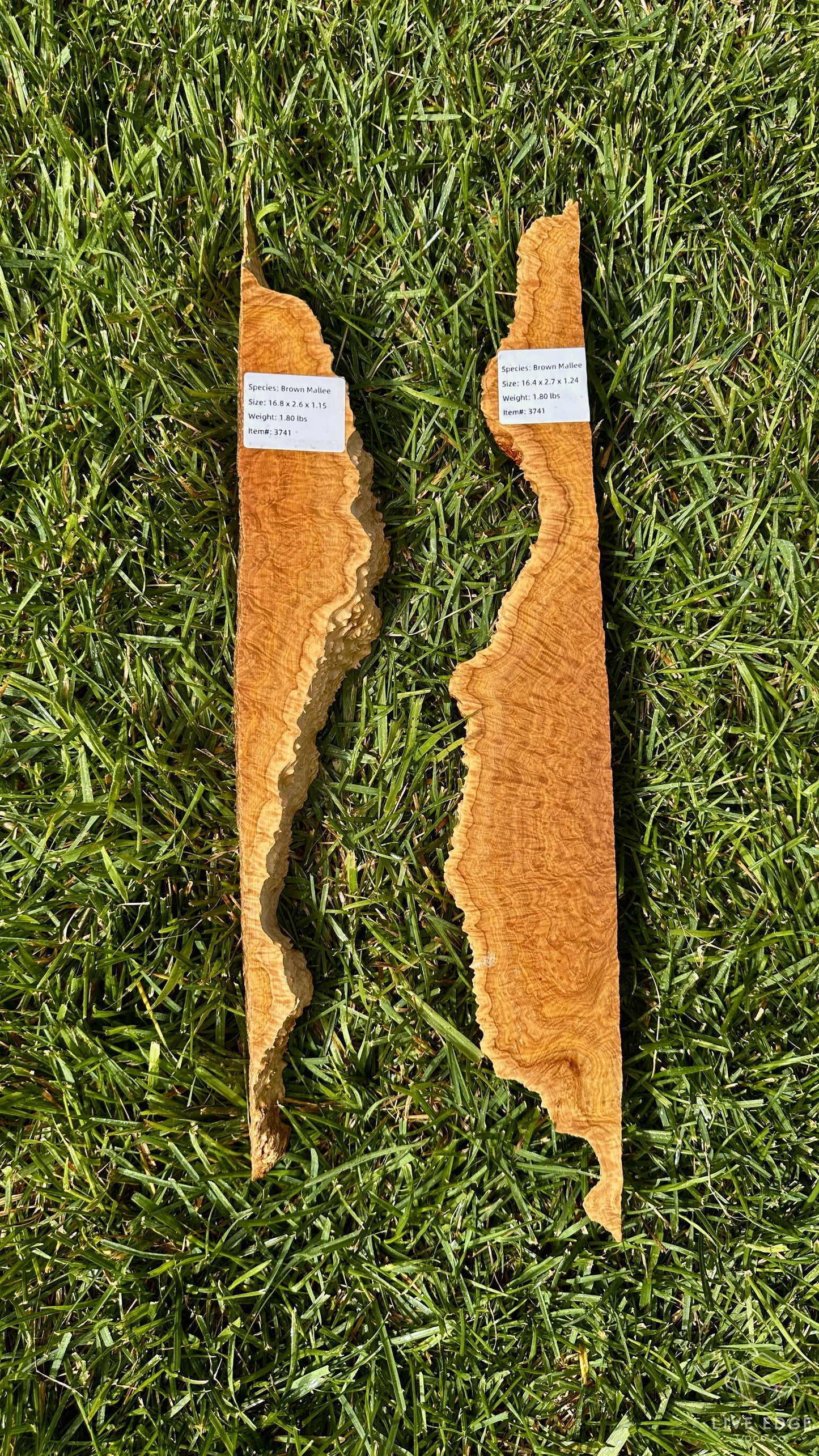 Brown Mallee Burl Set #3741