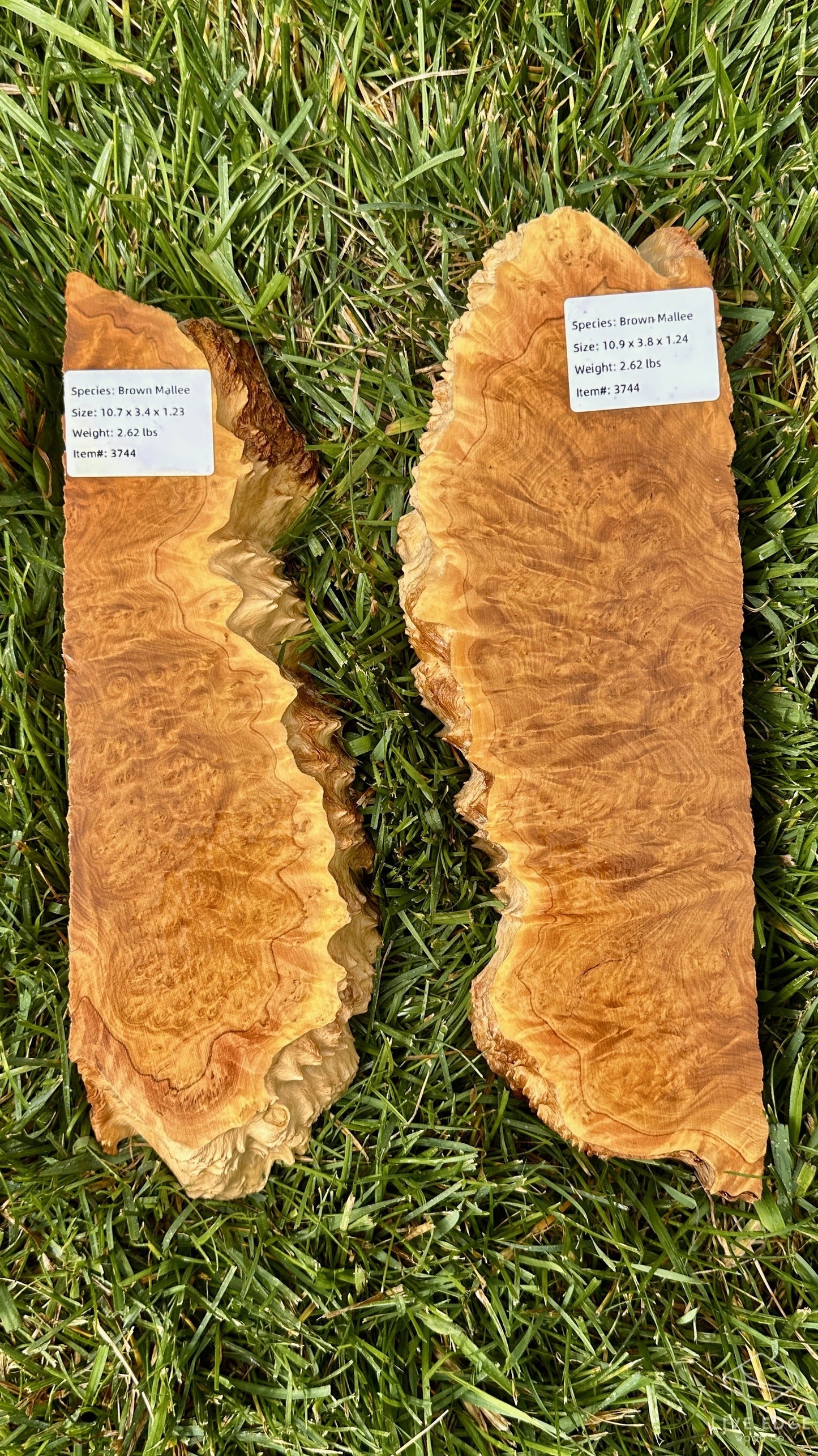 Brown Mallee Burl Set #3744