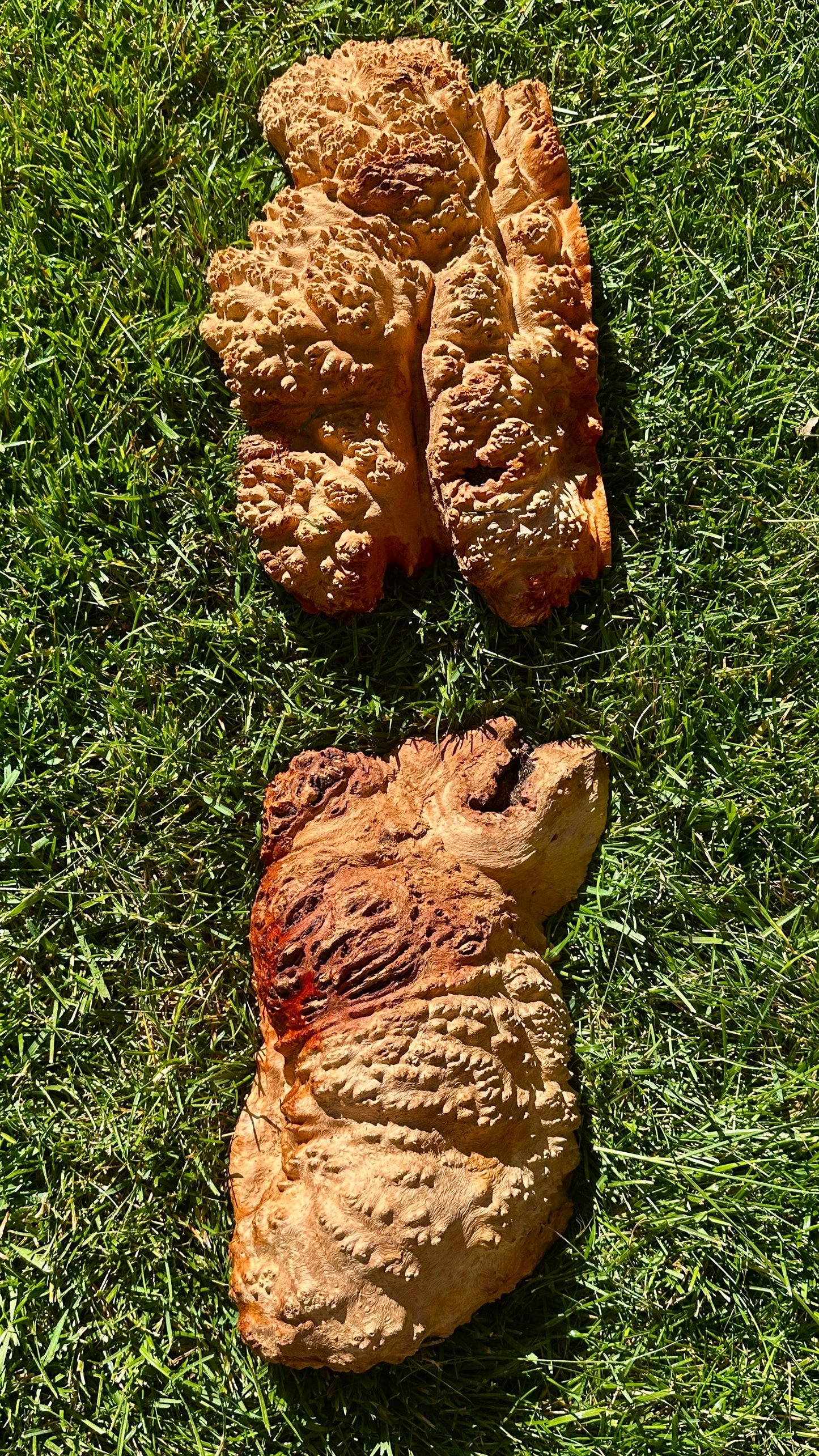 Red Mallee Burl Cap Set #3808