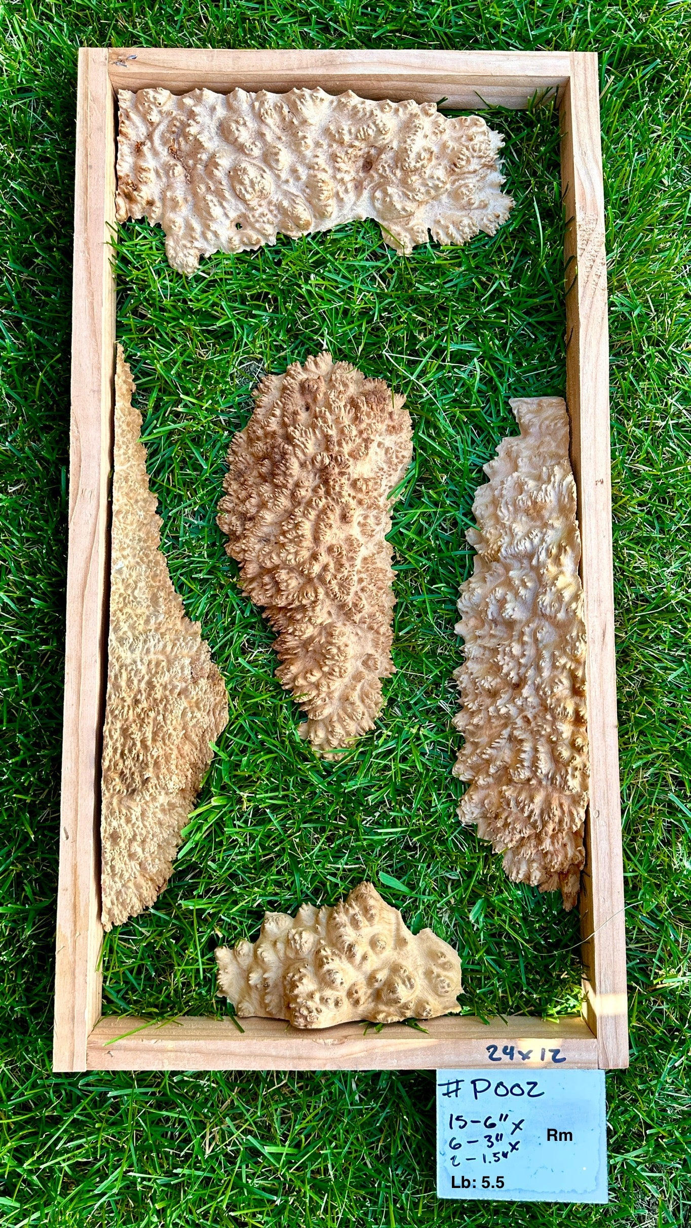 Red Mallee Burl Multi Sets #P002