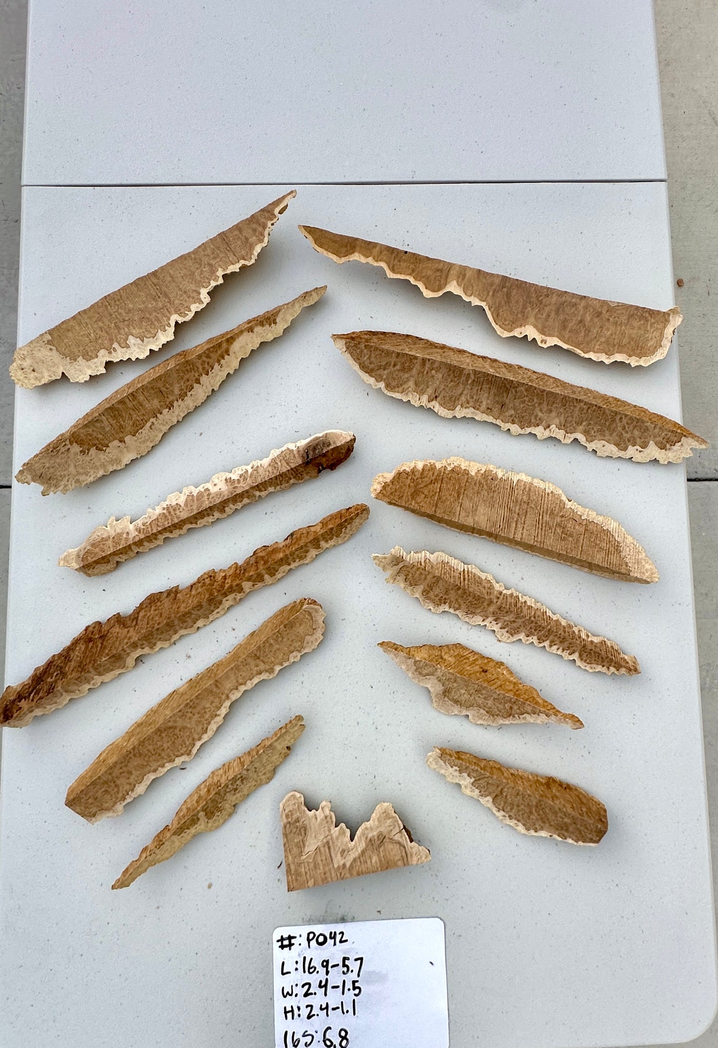 Brown Mallee Burl Multi Sets #P042