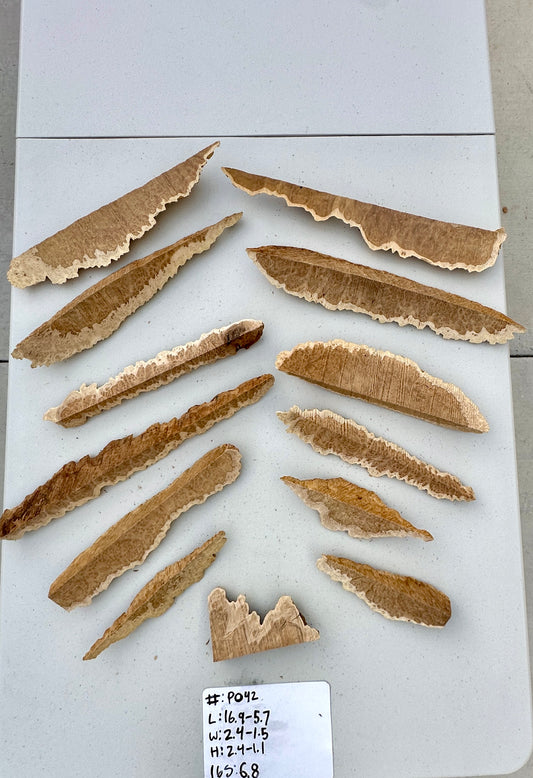 Brown Mallee Burl Multi Sets #P042