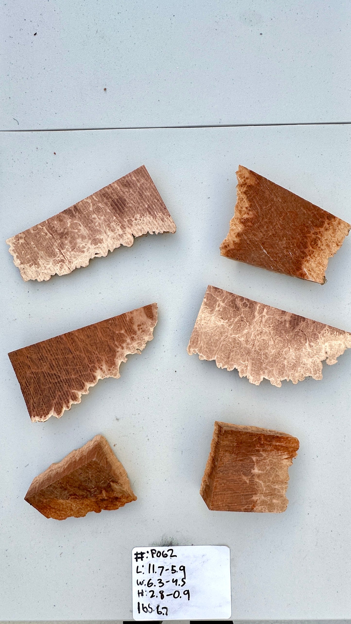 Red Mallee Burl Multi Sets #P062