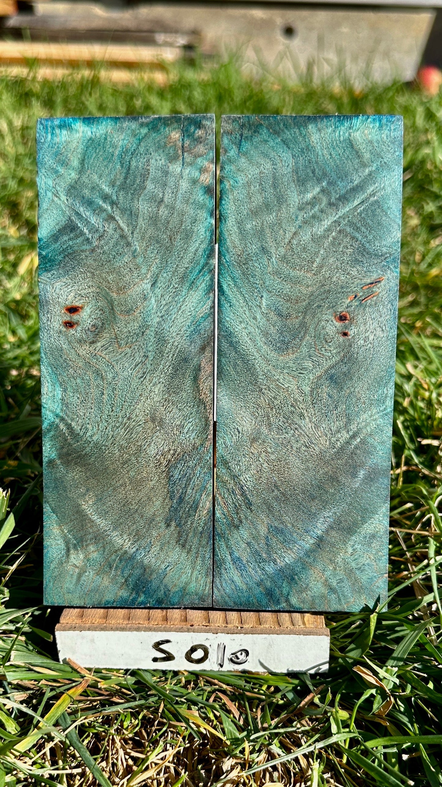 buckeye-scales-s010