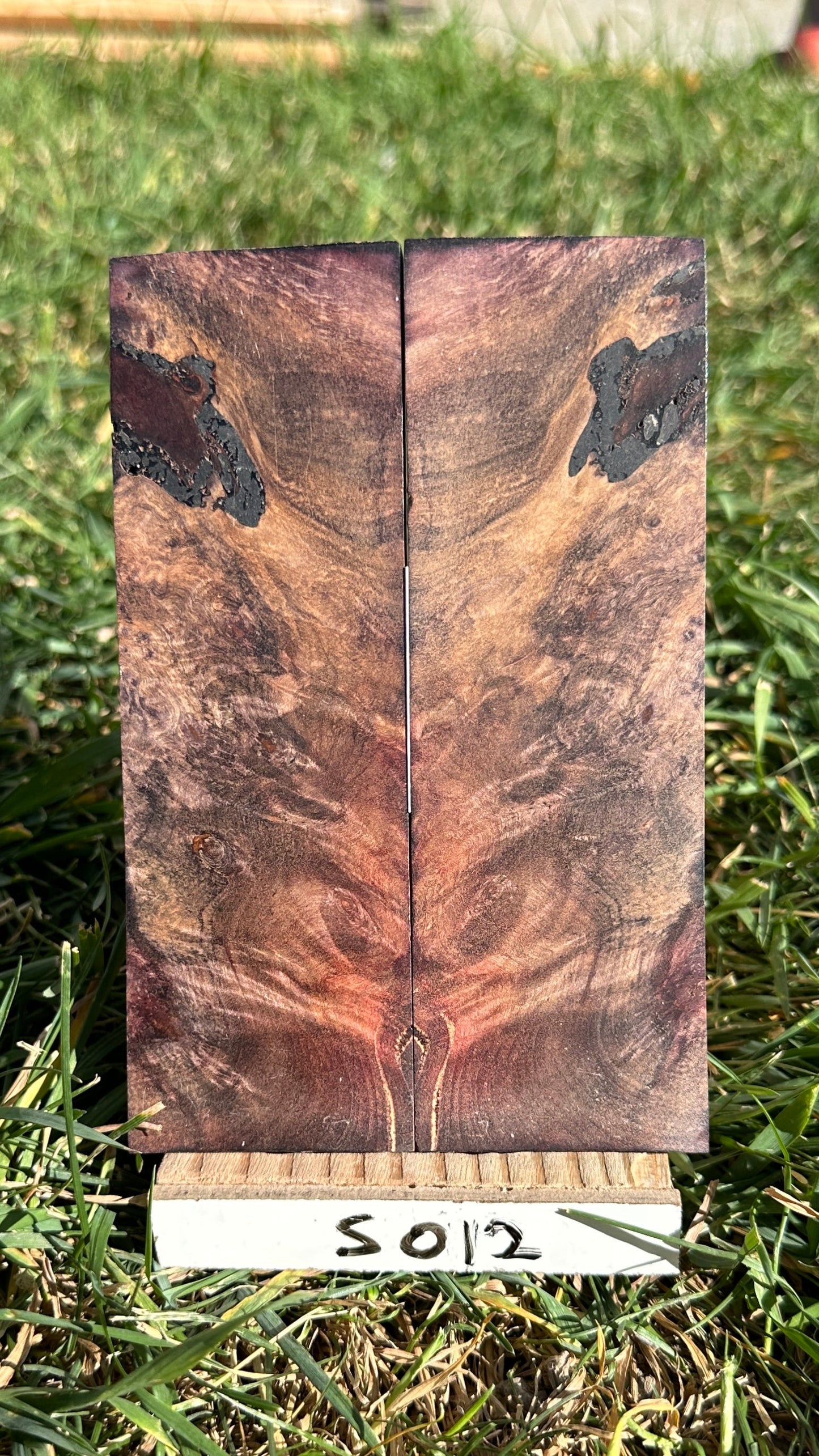 maple-scales-s012