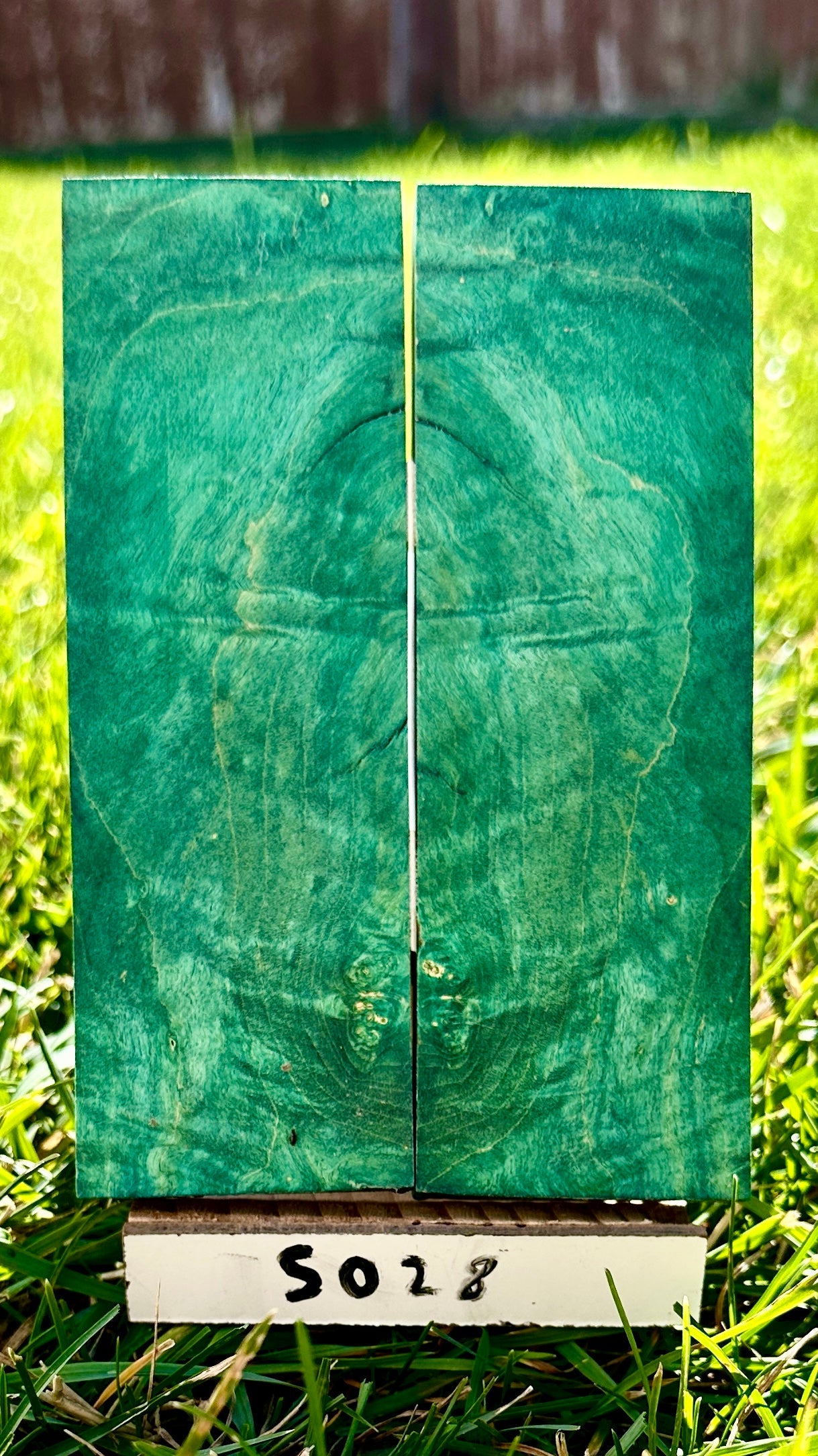 buckeye-scales-s028