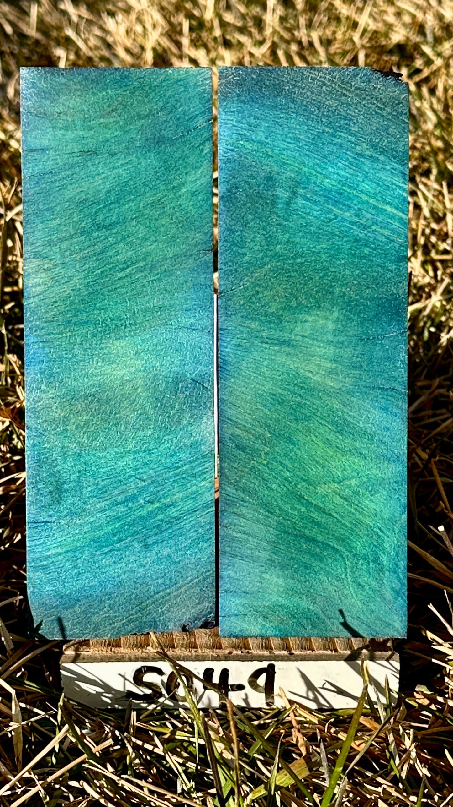 buckeye-scales-s049
