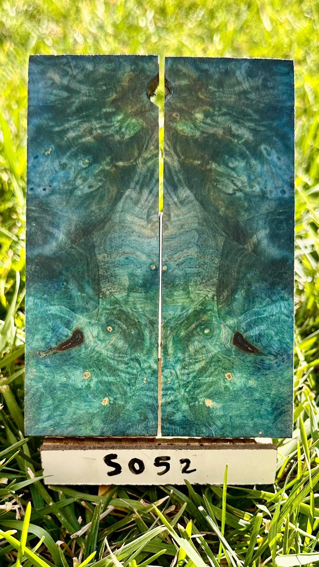 buckeye-scales-s052