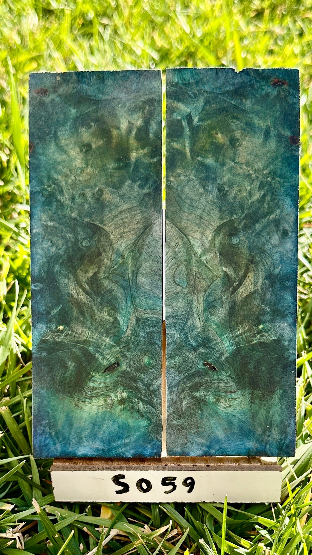 buckeye-scales-s059