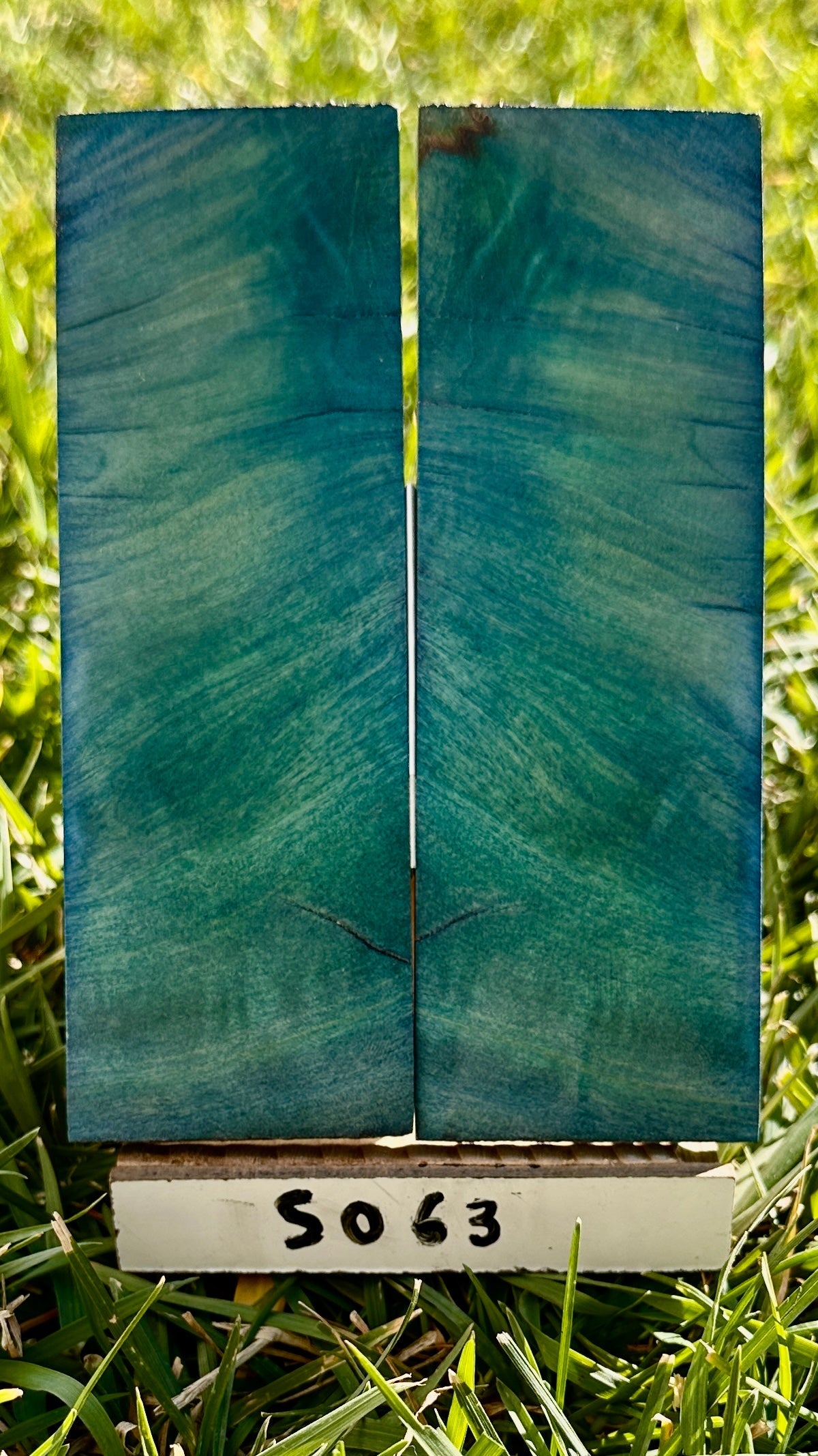 buckeye-scales-s063