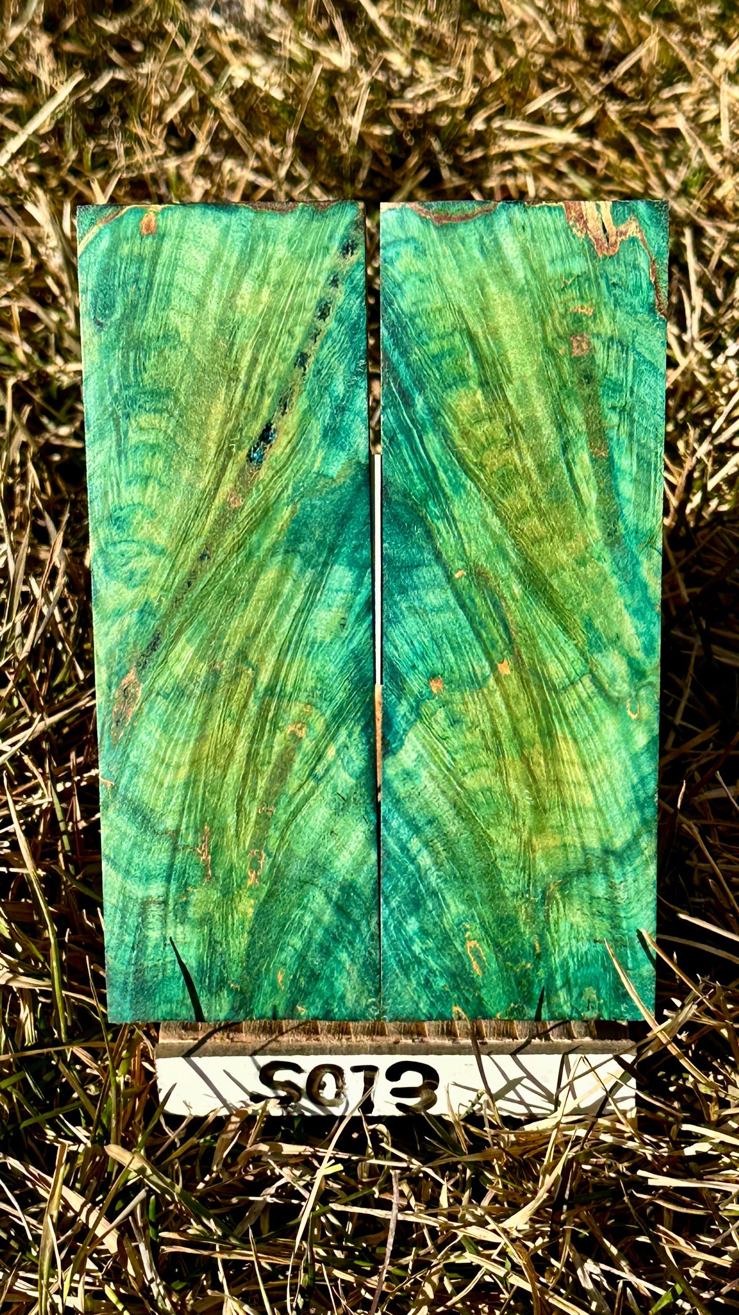 buckeye-scales-s073
