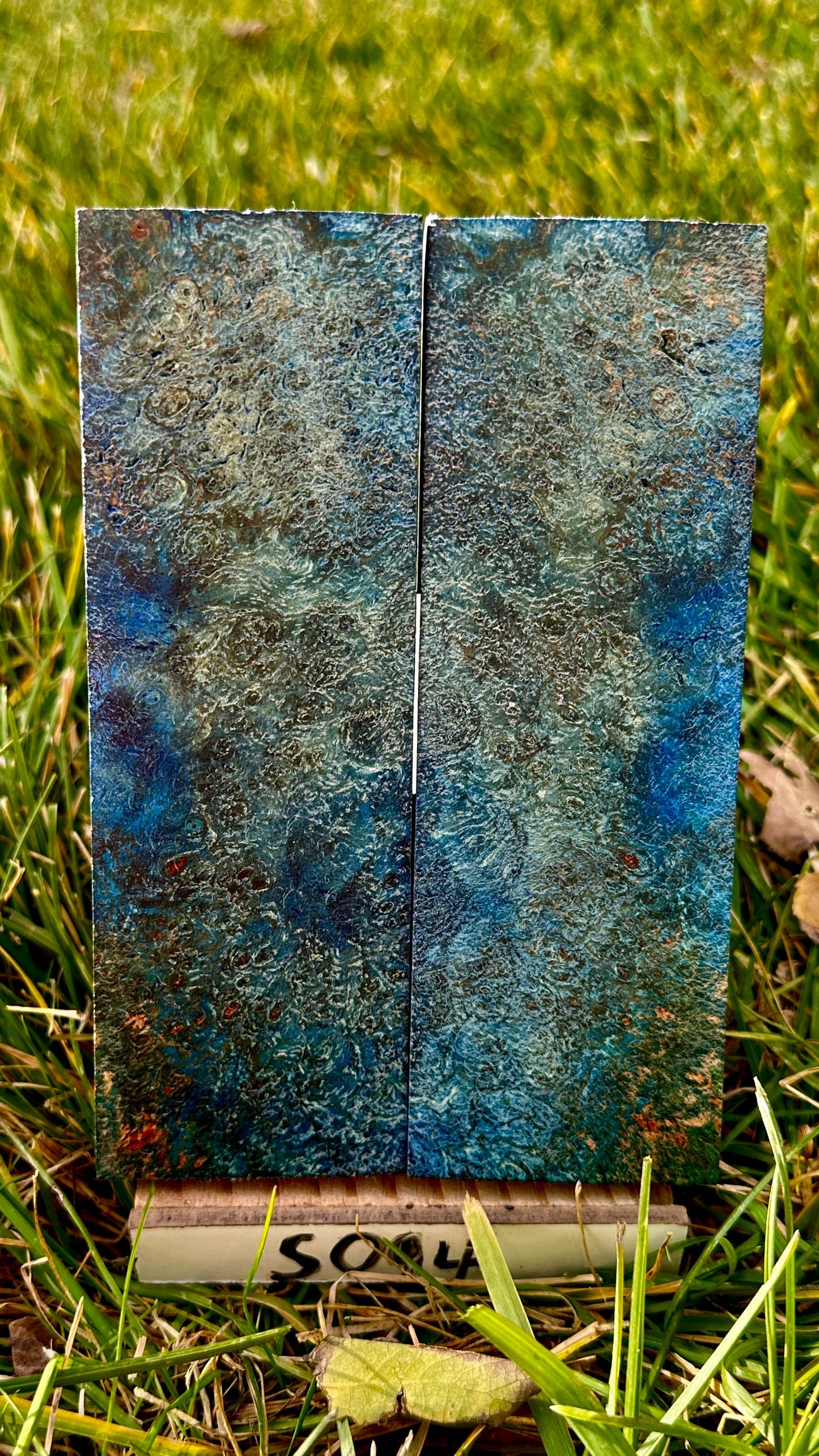 buckeye-scales-s094