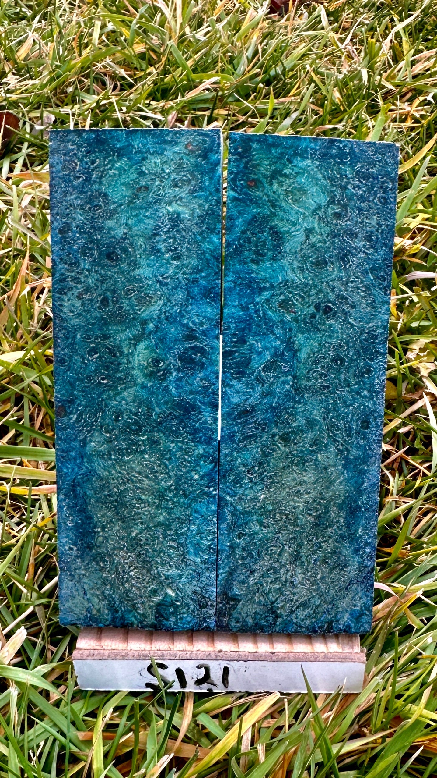 buckeye-scales-s121