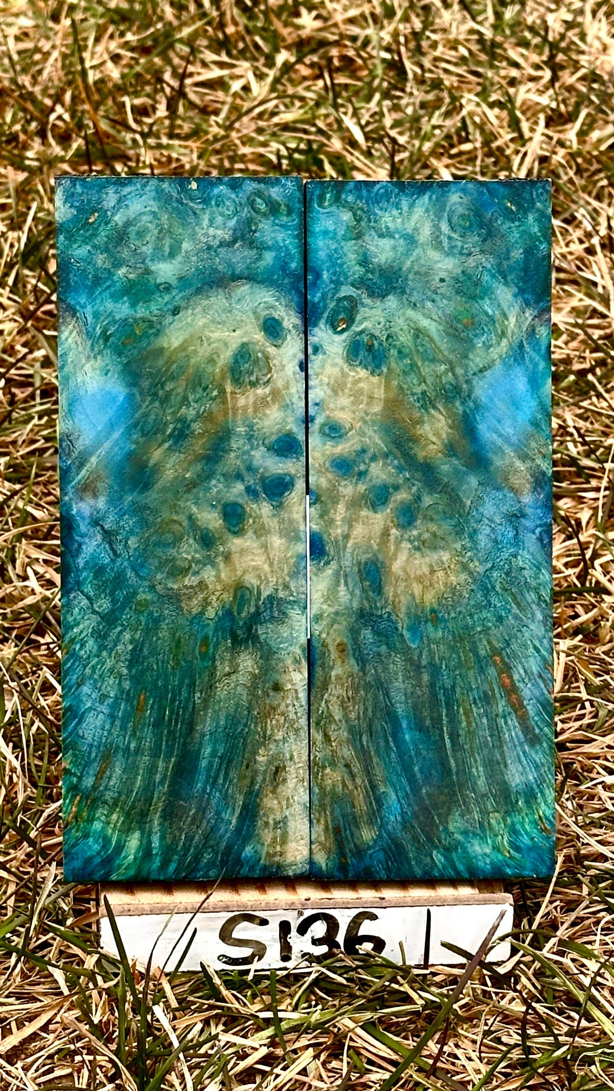 buckeye-scales-s136