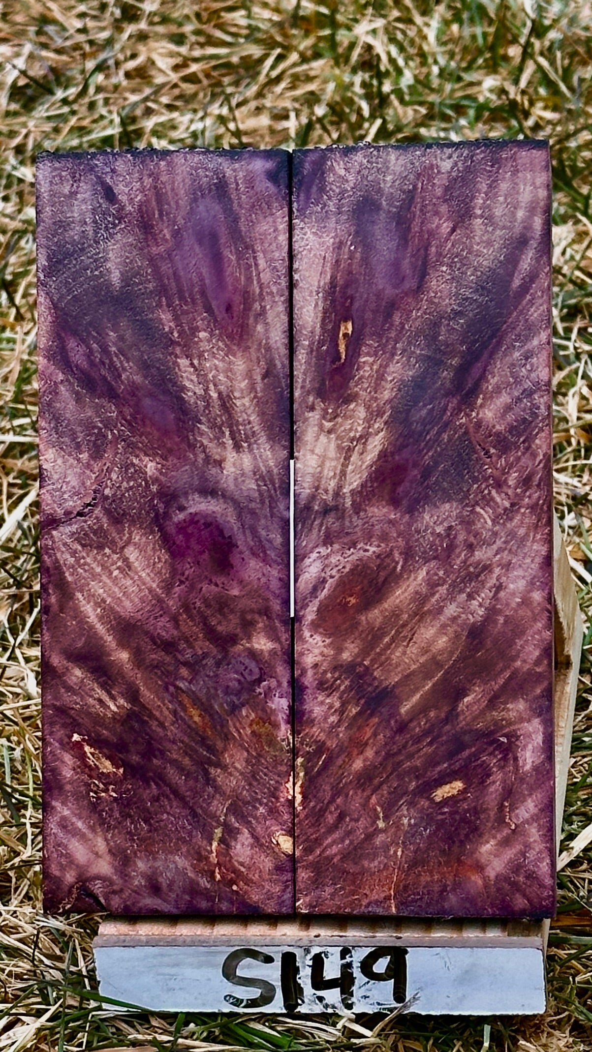 buckeye-scales-s149