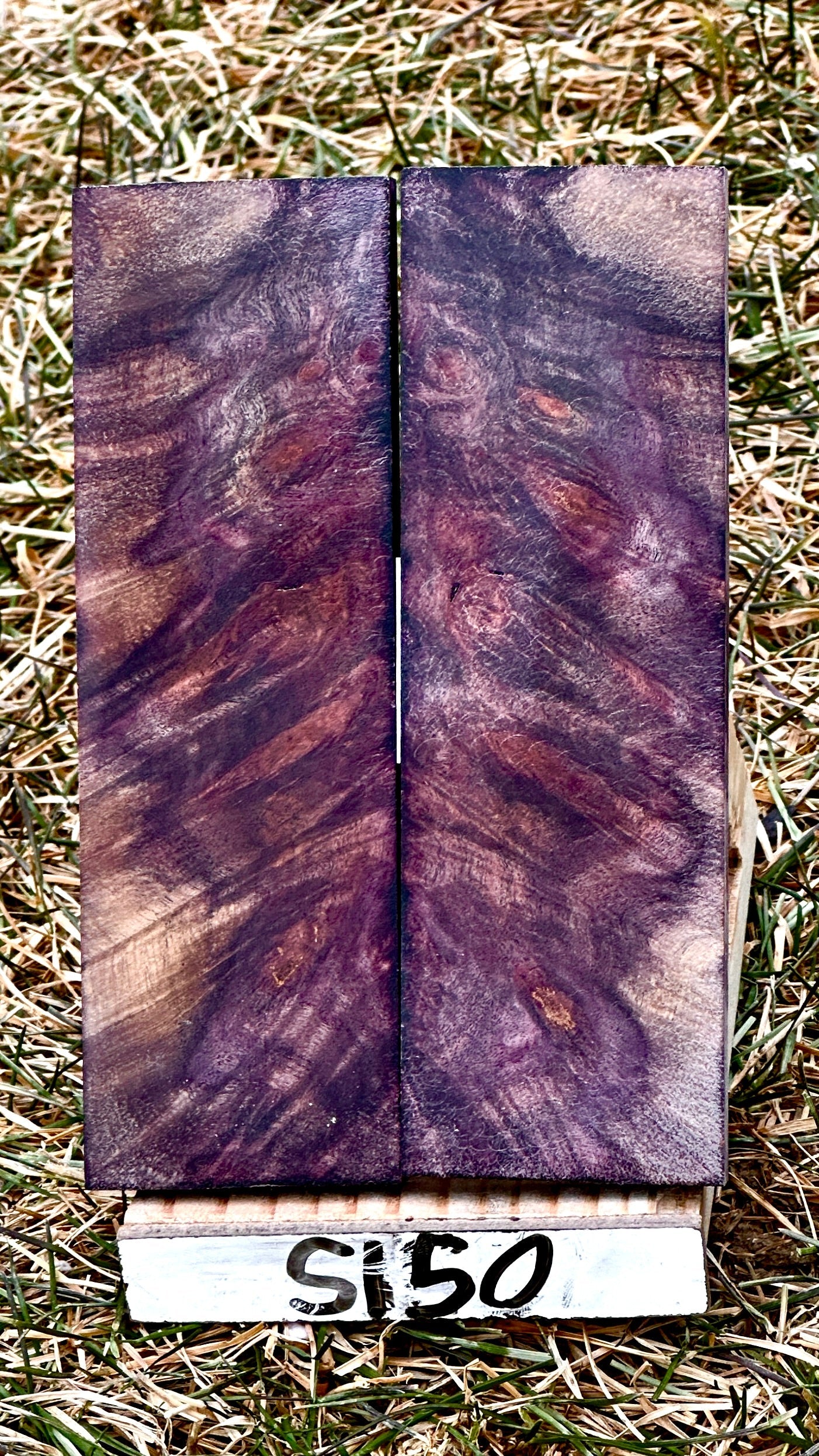 buckeye-scales-s150